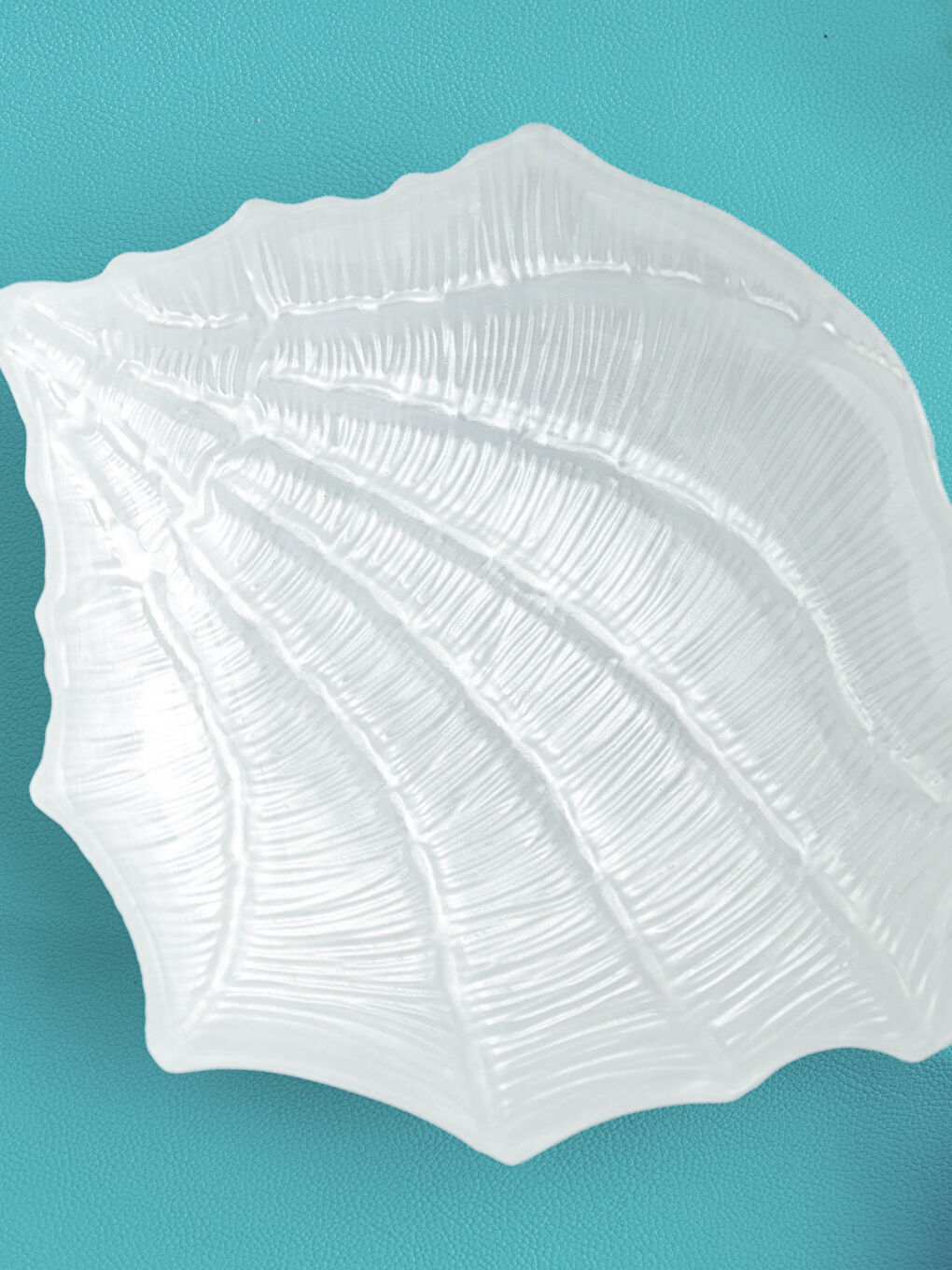 Sea Shell Patterned Glass Plate-2