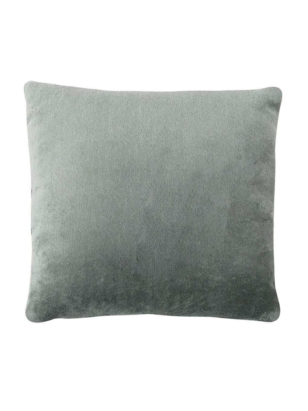 Regular Wellsoft Filled Throw Pillow 45x45 Cm -S2EH67Z8-HDL