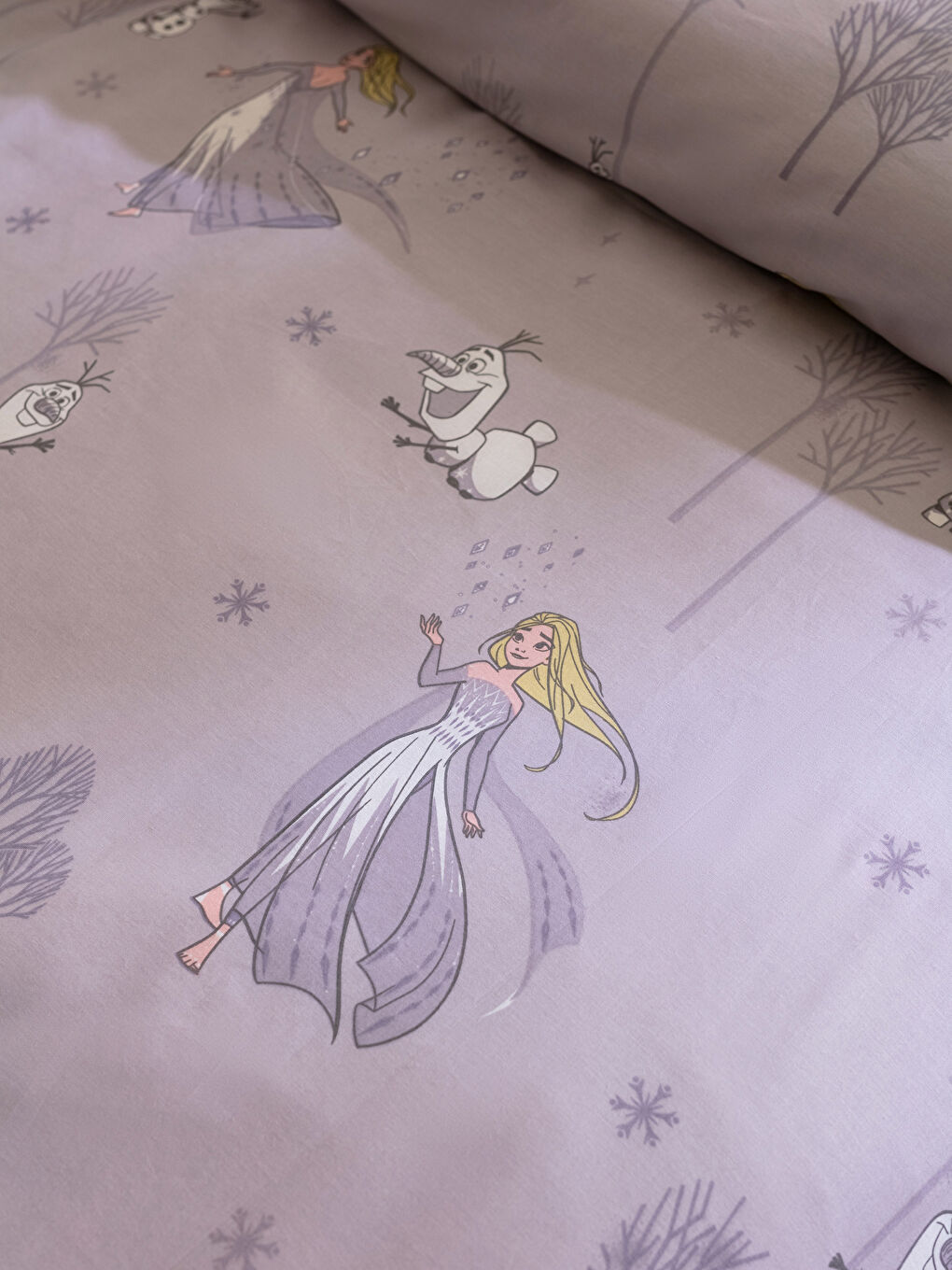 Karışık Frozen Lisanslı Kız Çocuk Nevresim Takımı-4