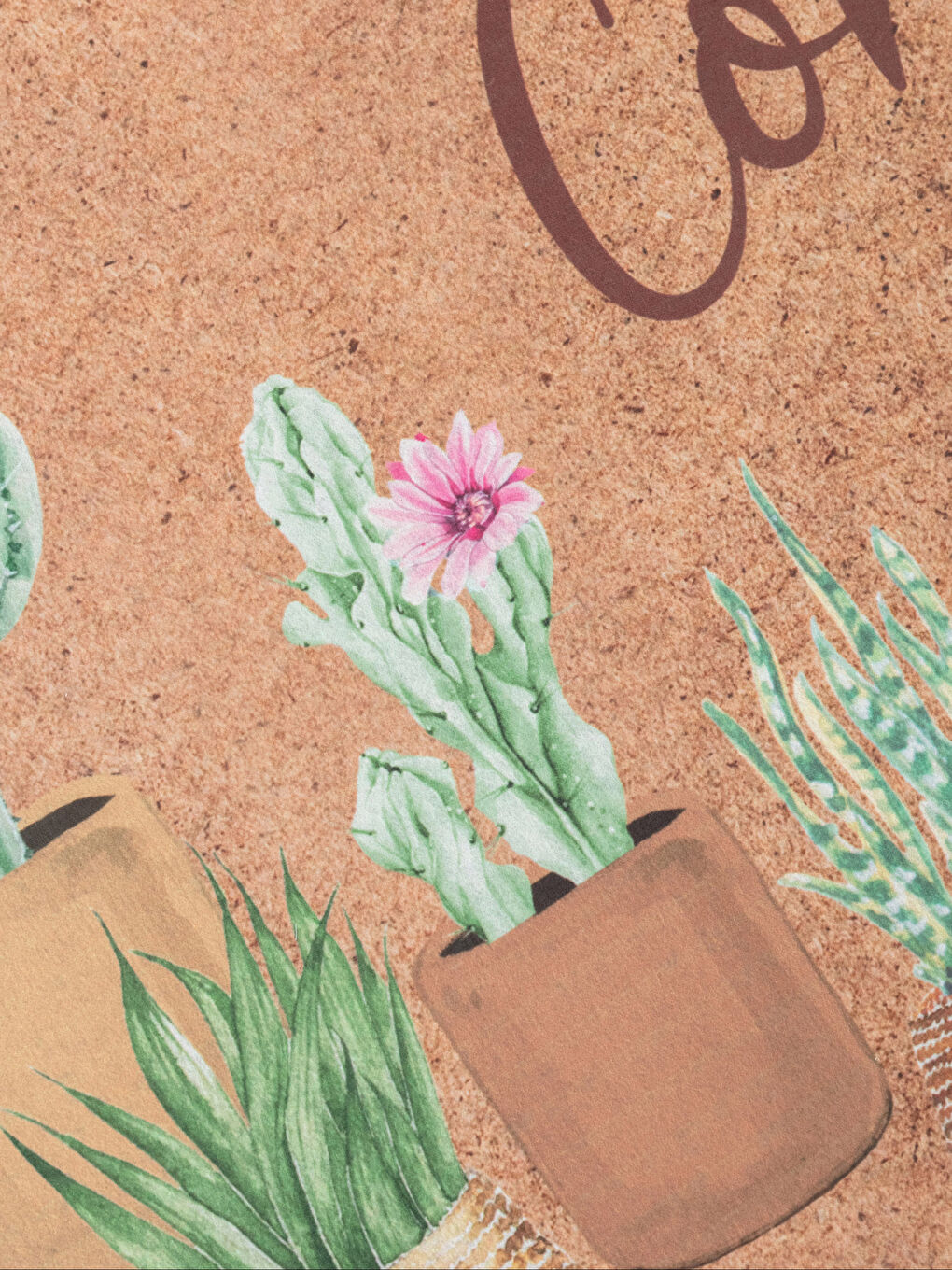 Принтті есік алдындағы кілемше 45x75 см-1