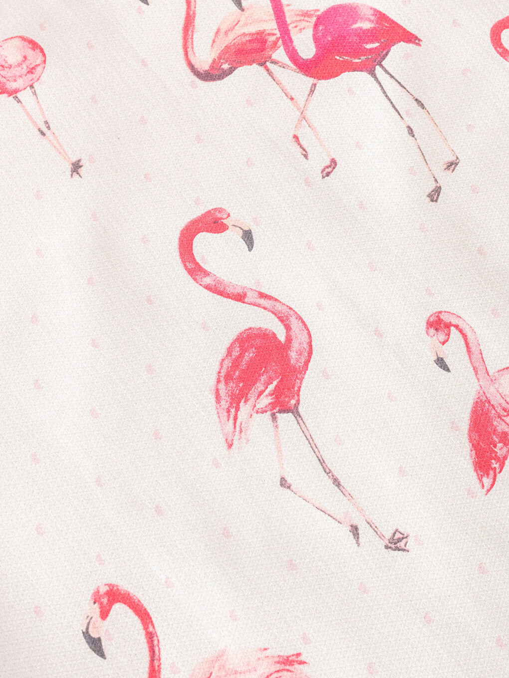 Flamingo Patterned Single Pique Set -S2J512Z8-LT4