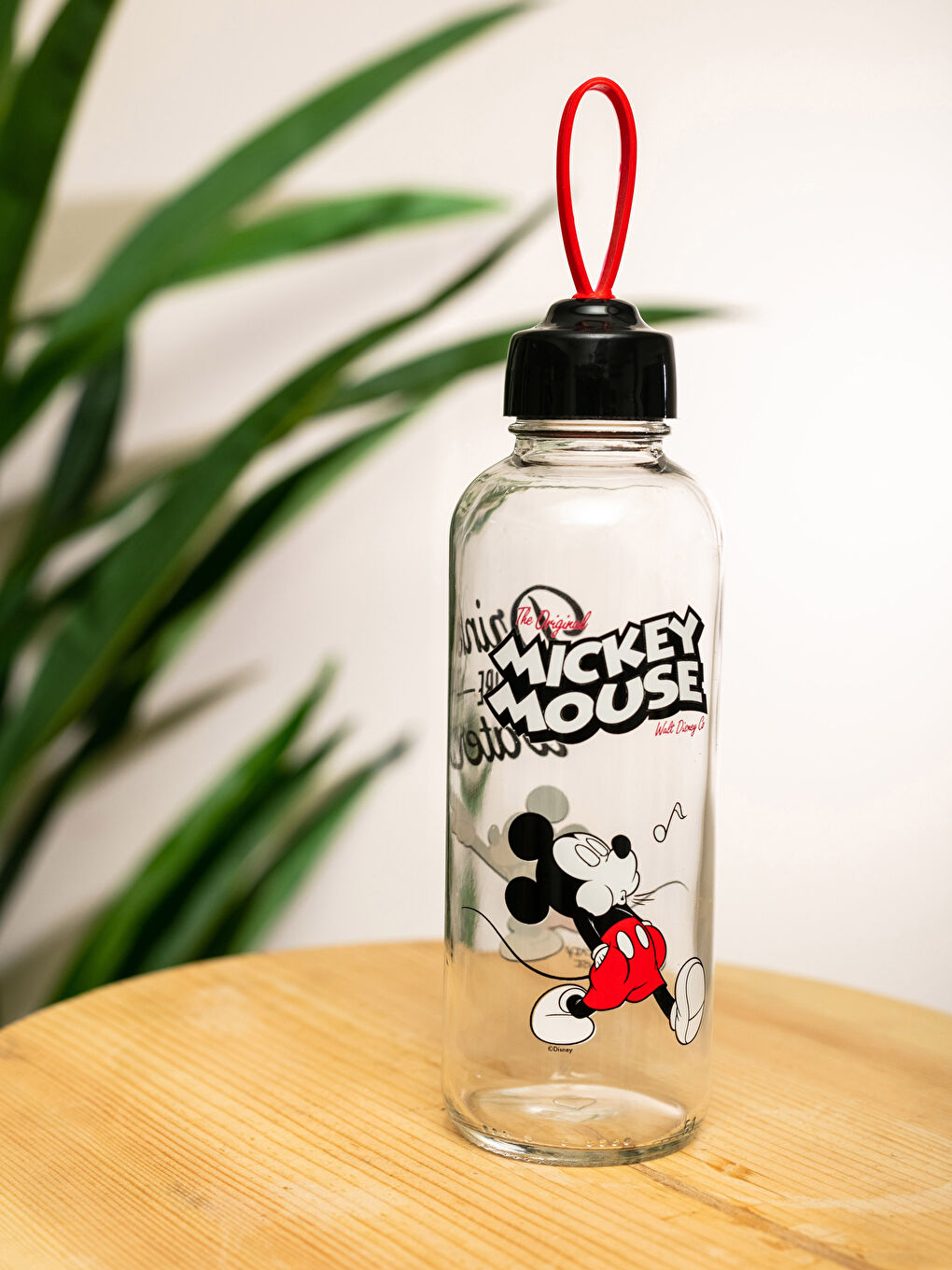 Karışık Micky Mouse Lisanslı Cam Matara 320 ml-1