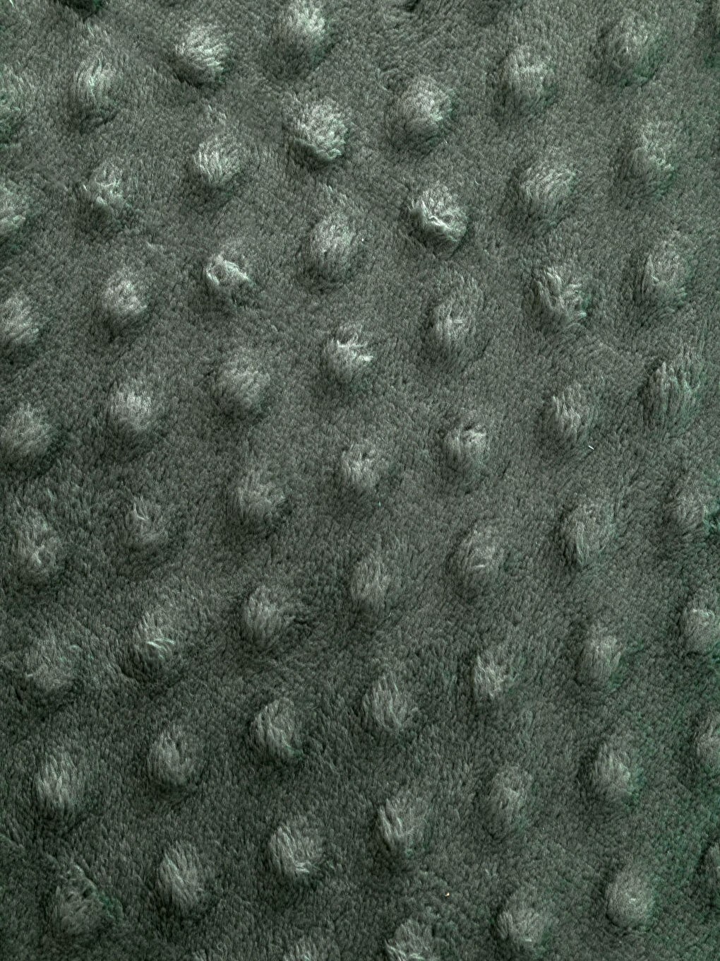 Haki Tomurcuk Desenli Welsoft Çift Kişilik Battaniye 200x220 cm-2