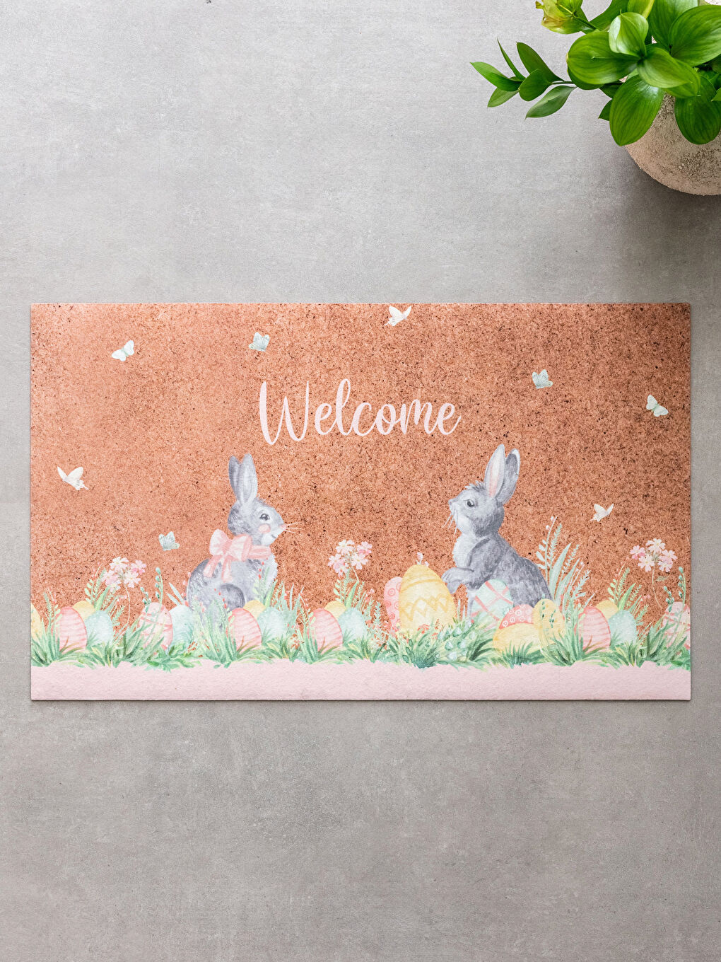 ნაბეჭდი შესასვლელი კარის ხალიჩა 45x75 სმ