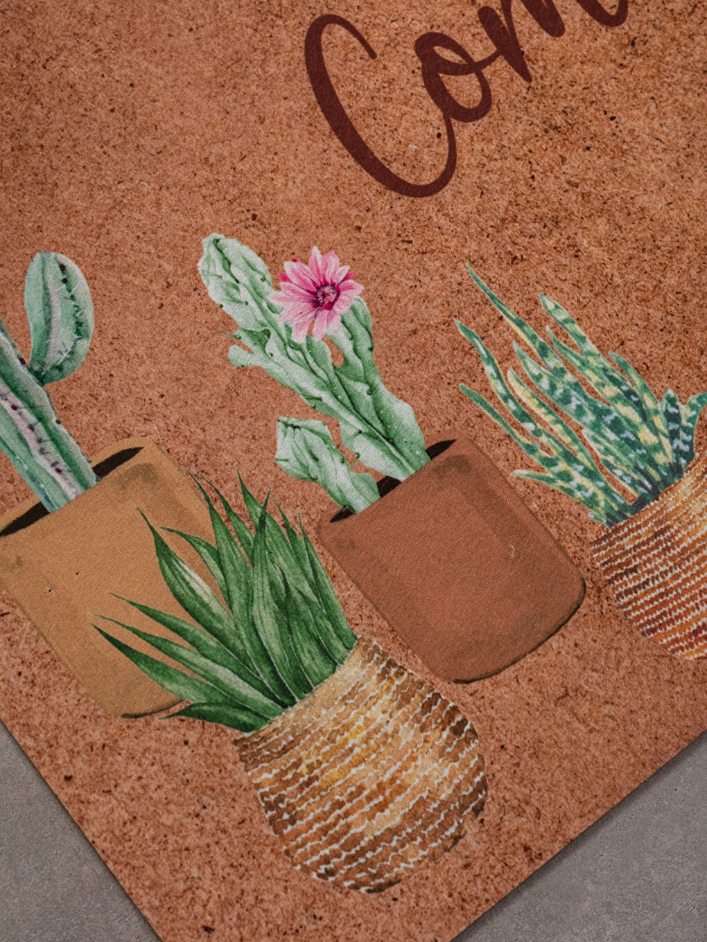 Karışık Baskılı Kapı Önü Paspası 45x75 cm-1