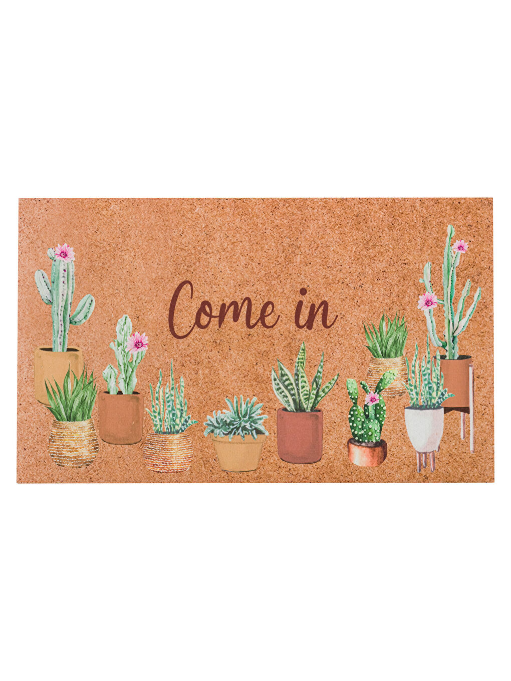 Karışık Baskılı Kapı Önü Paspası 45x75 cm-4