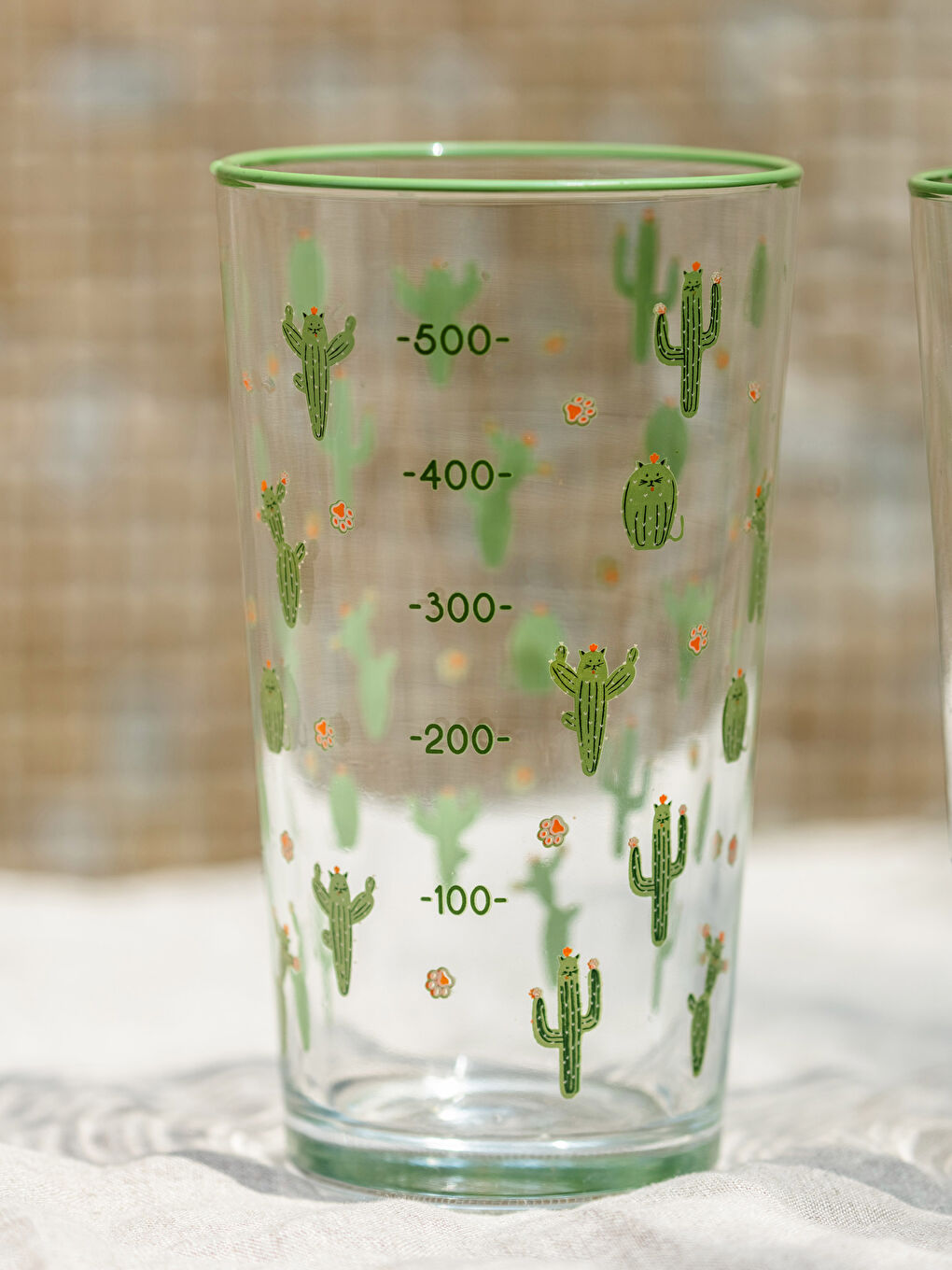 Kaktüs Baskılı Cam Bardak Seti 2'li 500 ml-2