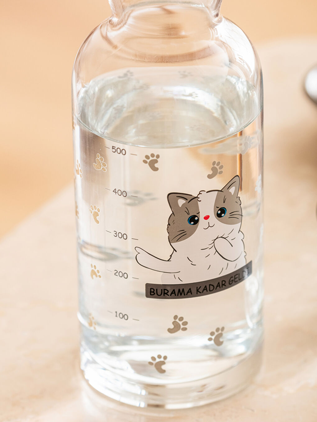 Karışık Kedi Baskılı Bardak Kapaklı Cam Karaf Sürahi 700 ml-3