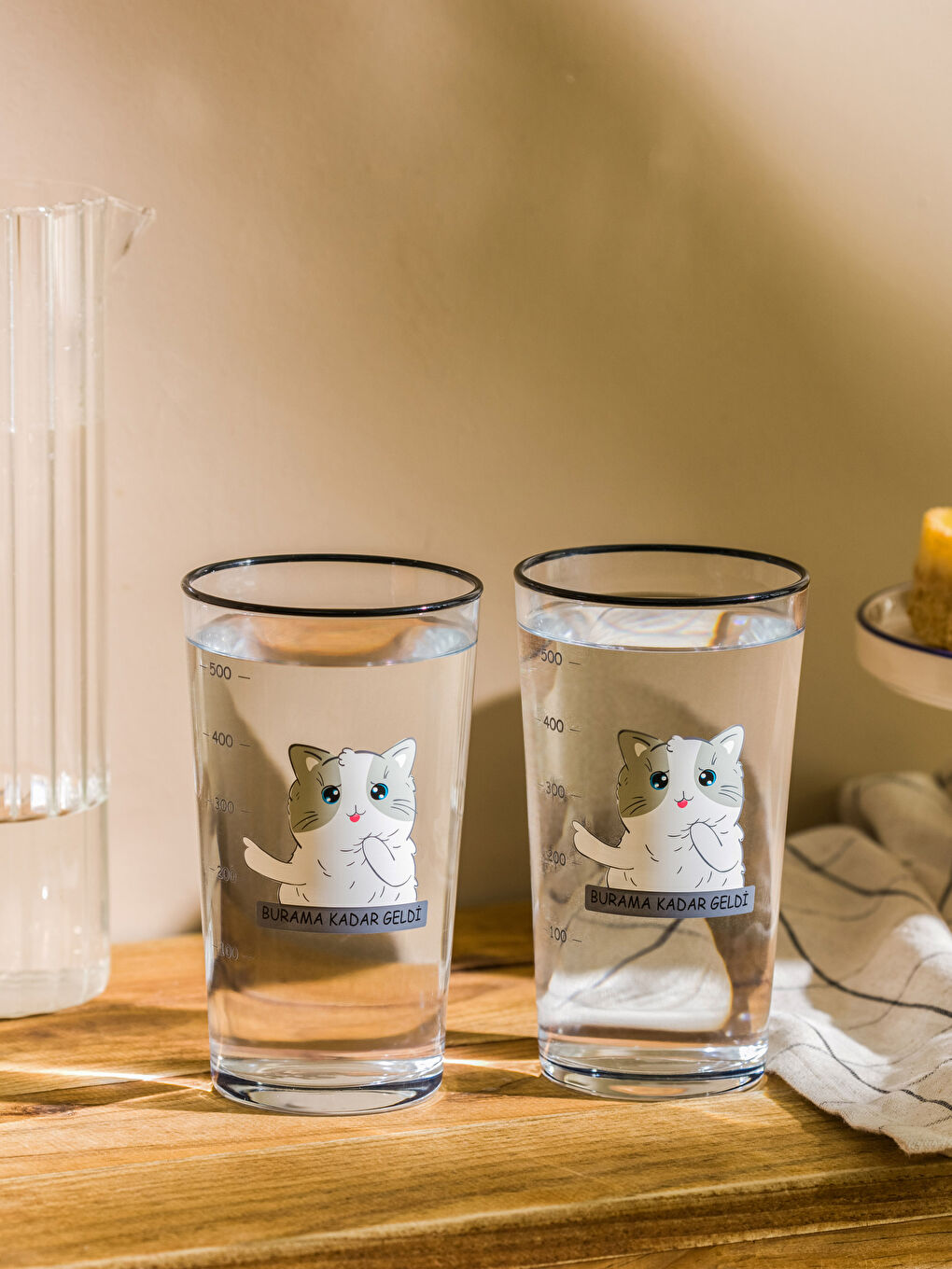 Karışık Kedi Baskılı Cam Bardak 2'li 570 ml