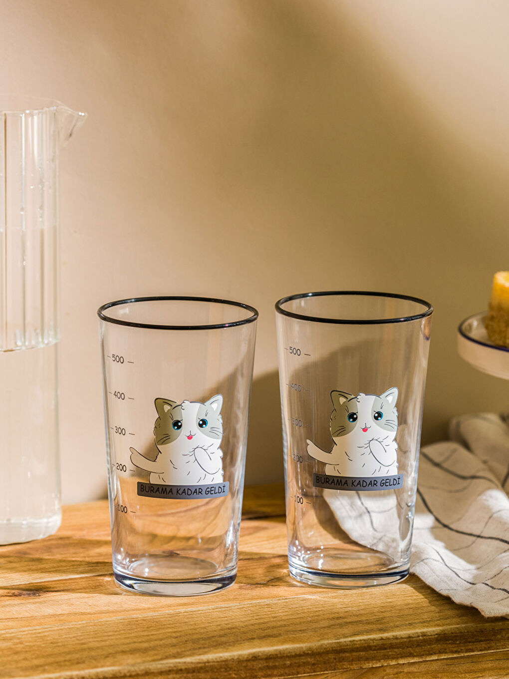 Karışık Kedi Baskılı Cam Bardak 2'li 570 ml-1