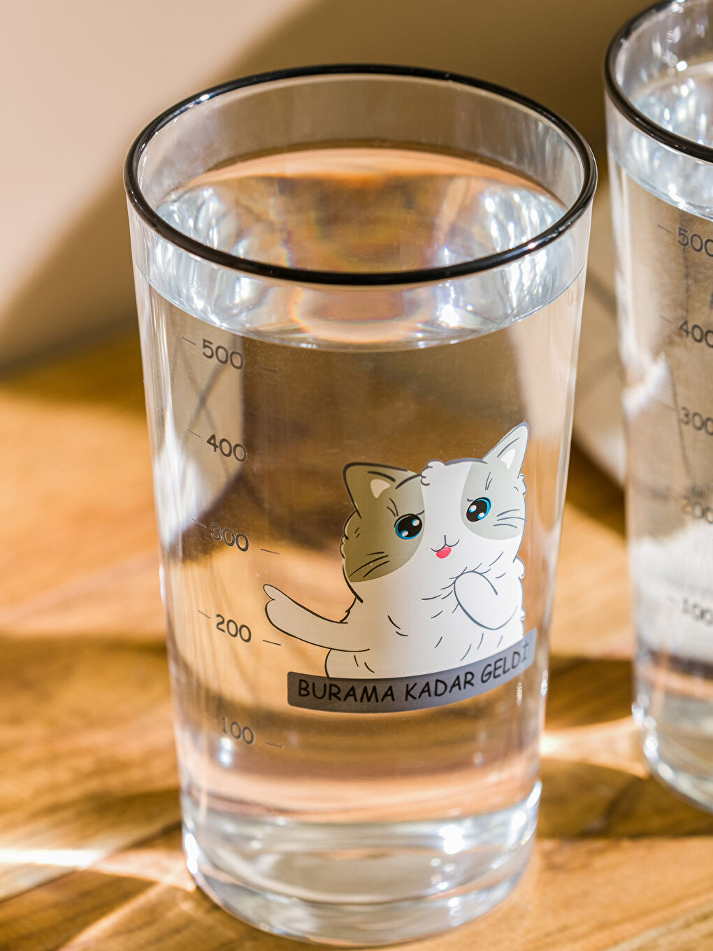 Karışık Kedi Baskılı Cam Bardak 2'li 570 ml-2