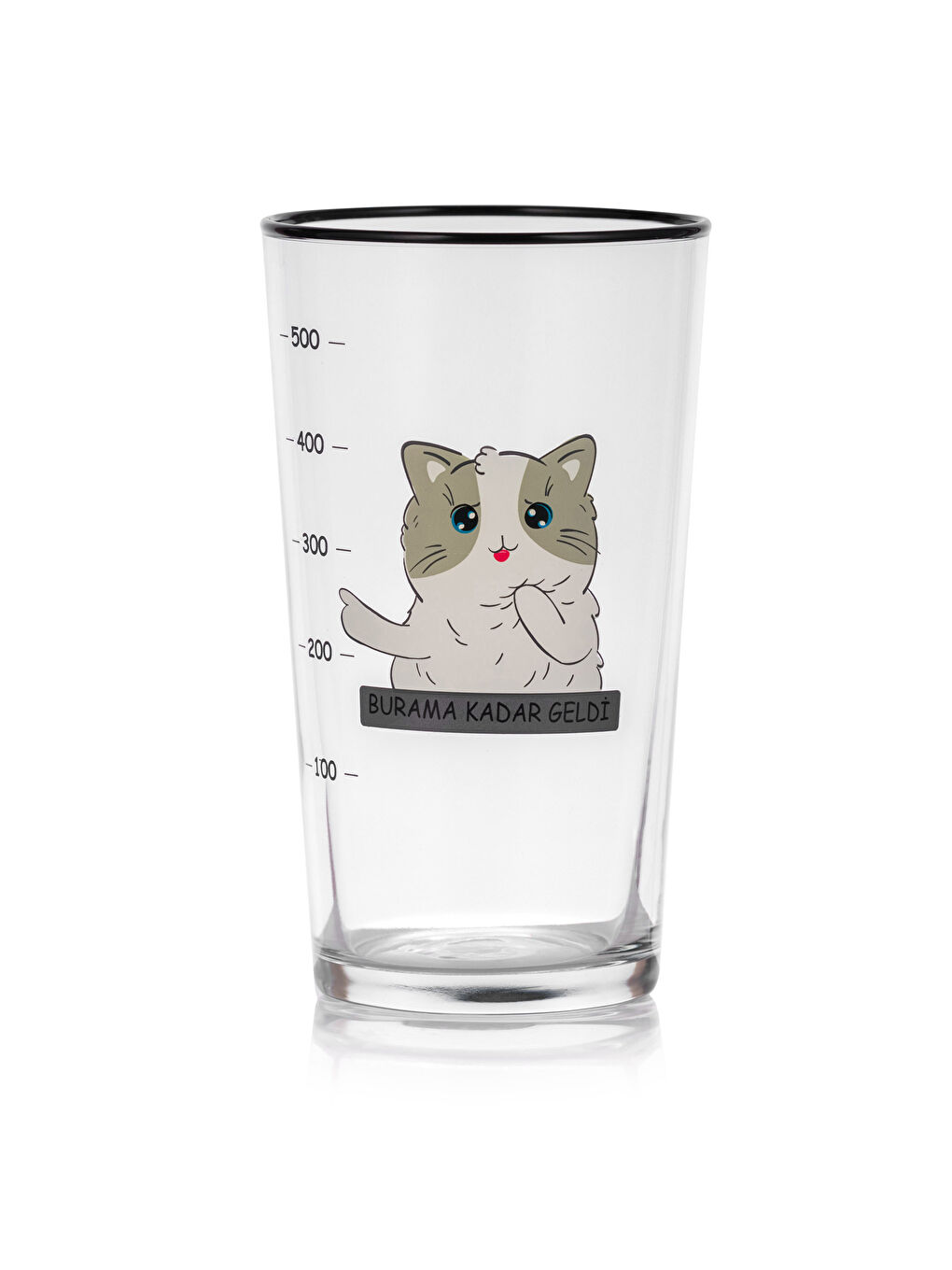 Karışık Kedi Baskılı Cam Bardak 2'li 570 ml-4
