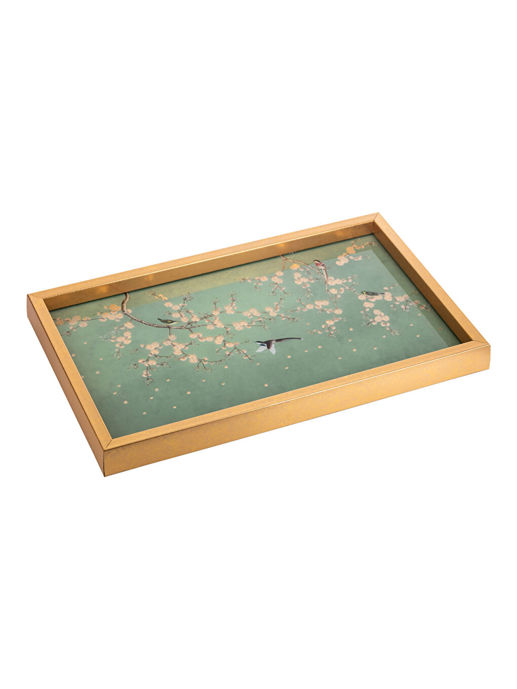 Decorative Glass Tray 40x25 Cm-4
