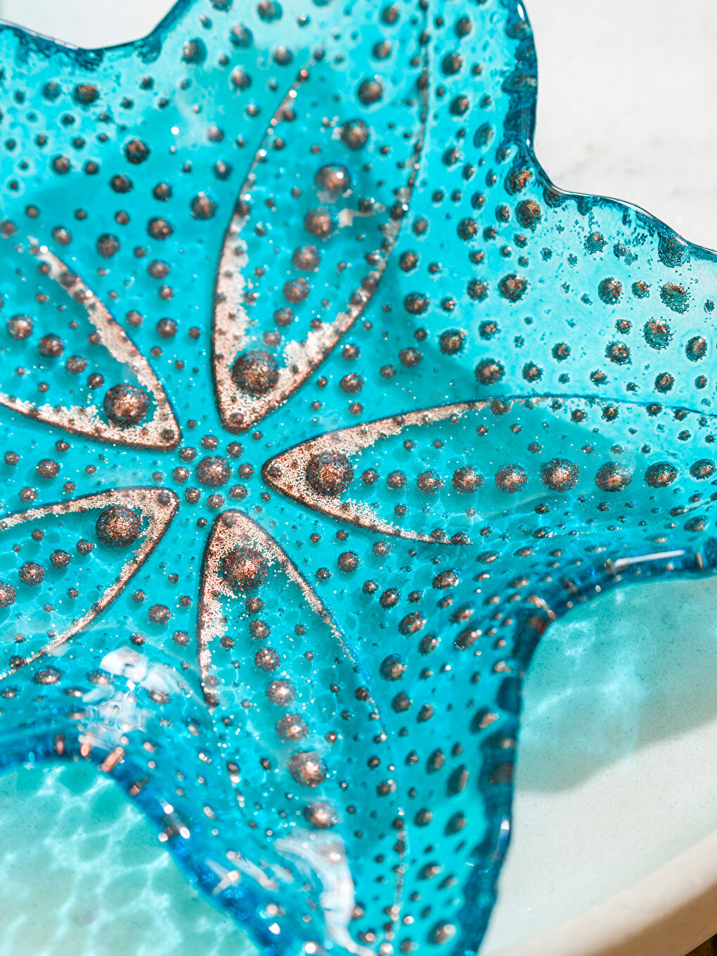 Mavi Deniz Yıldızı Figürlü Çerezlik 2'li-2