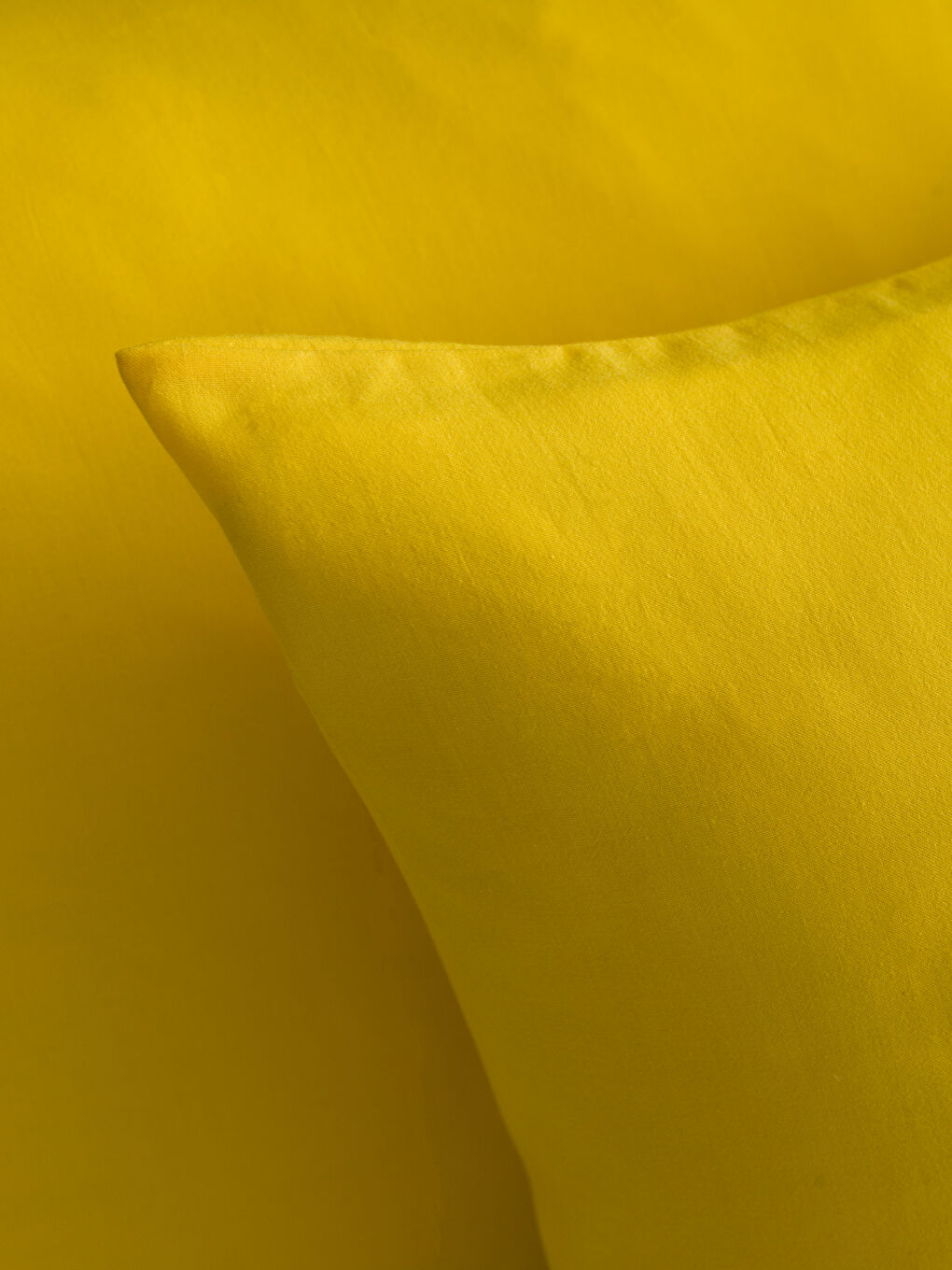 Cotton Pillowcase 2-Pack 50x70 cm -S4NU08Z8-JTM