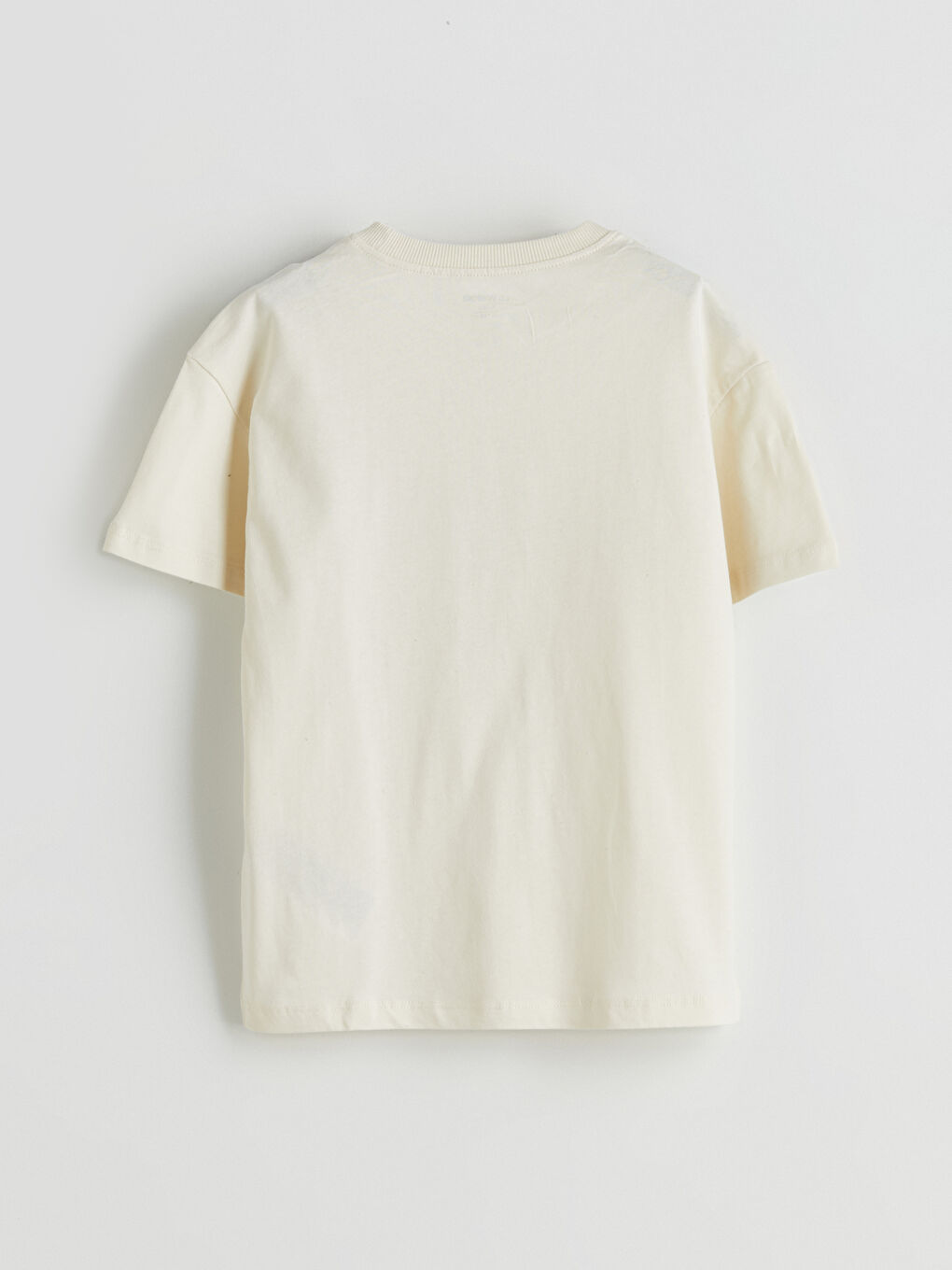 Bej Dinozor Baskılı Erkek Çocuk Tişört-1