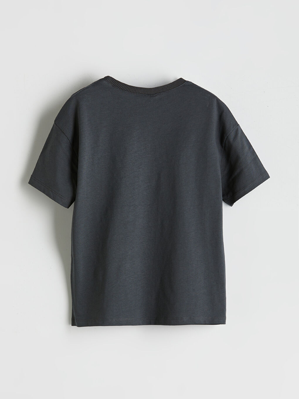 Gri Bisiklet Yaka Basic Erkek Çocuk Tişört-1