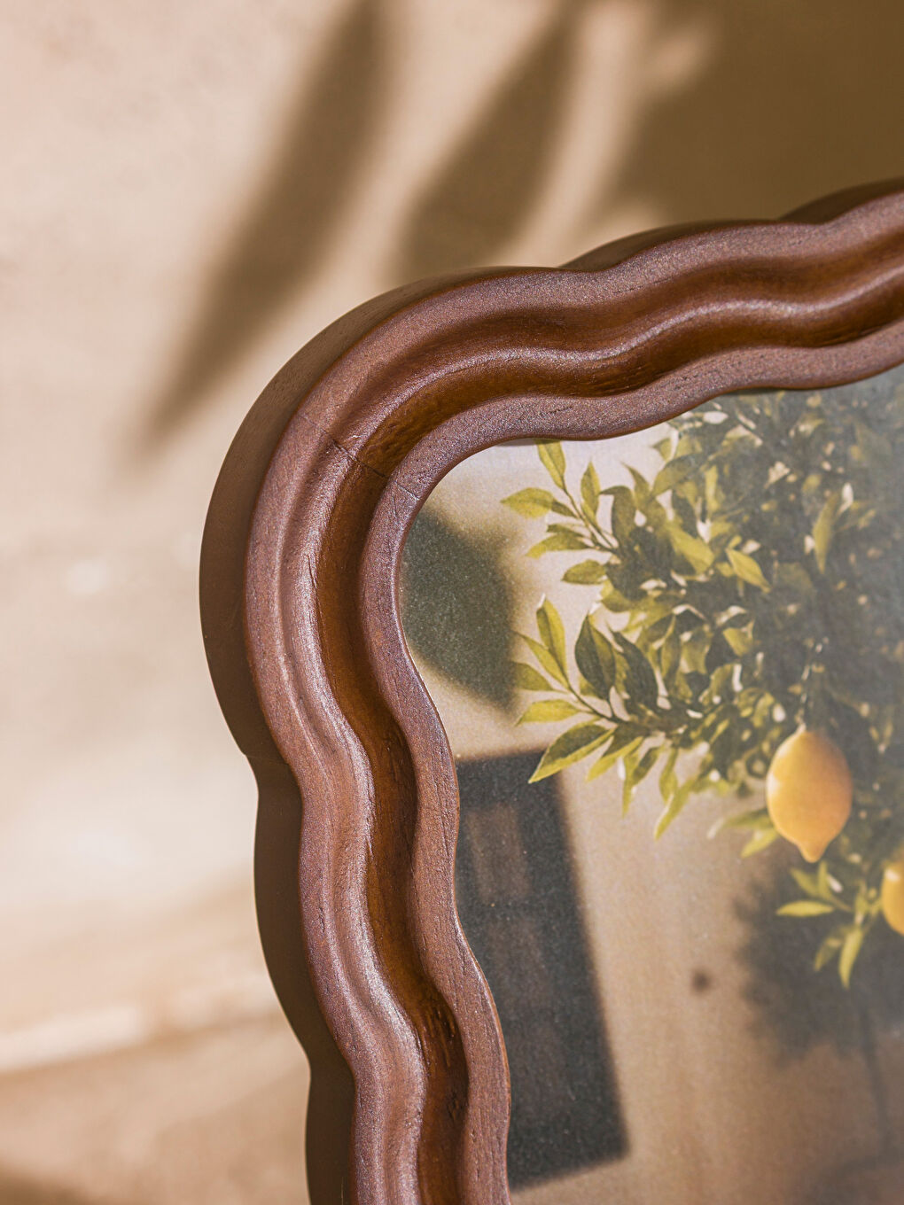 Аралас Фото рамкасы-2