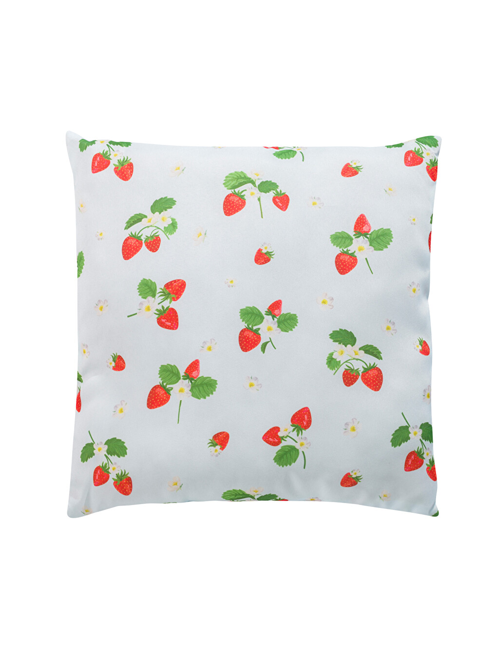 Coussin décoratif Mixte-2