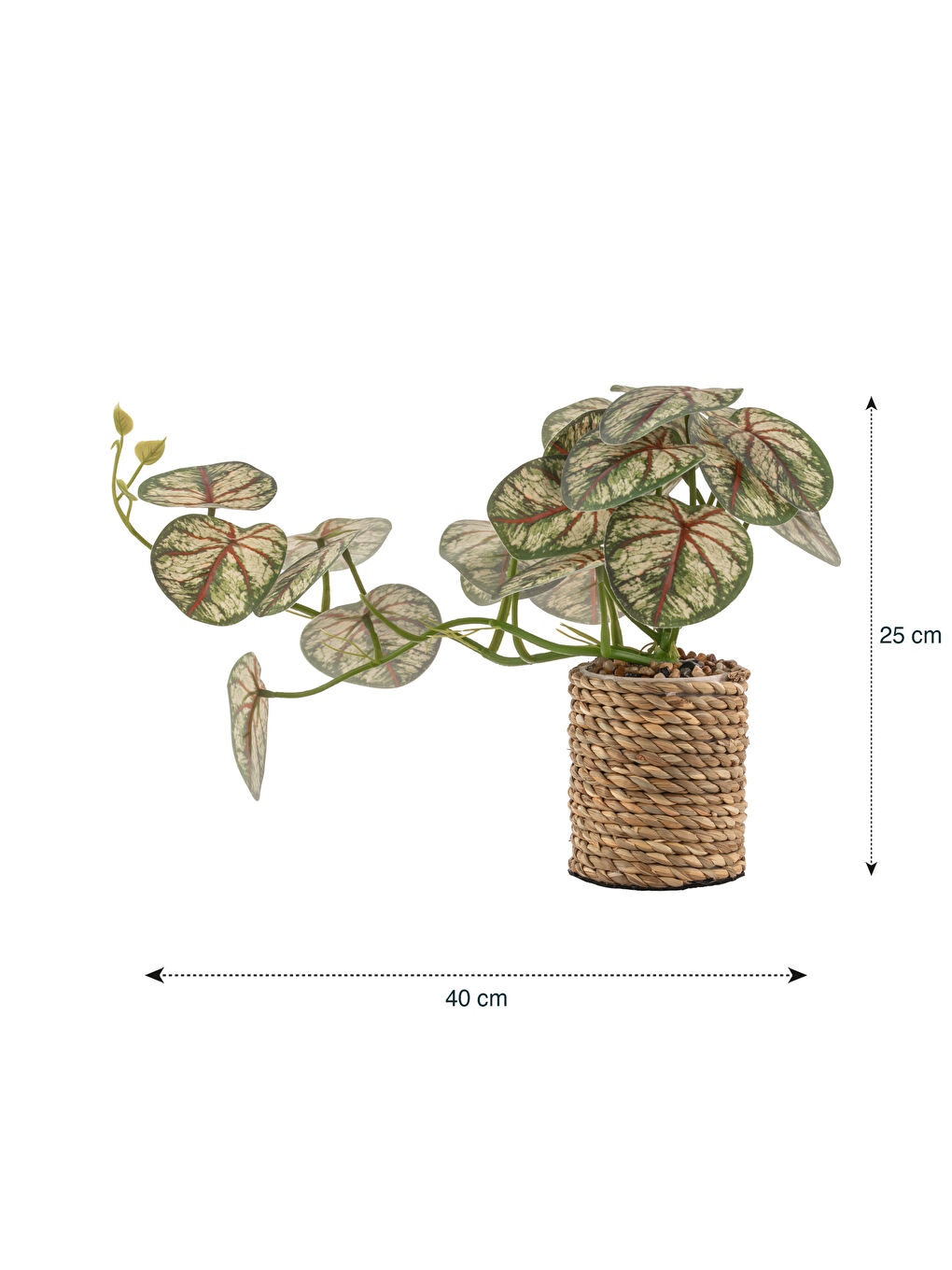 گوڵی دەستکرد لە گۆنچەی بامبو 25 cm-3