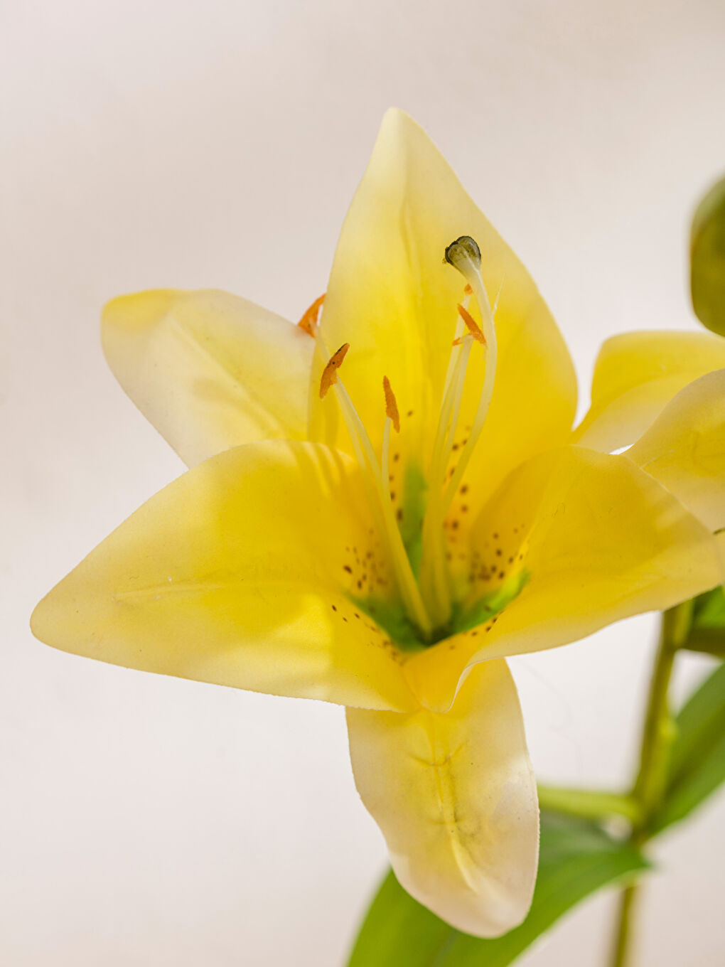 Аралас Жасанды гүл-2