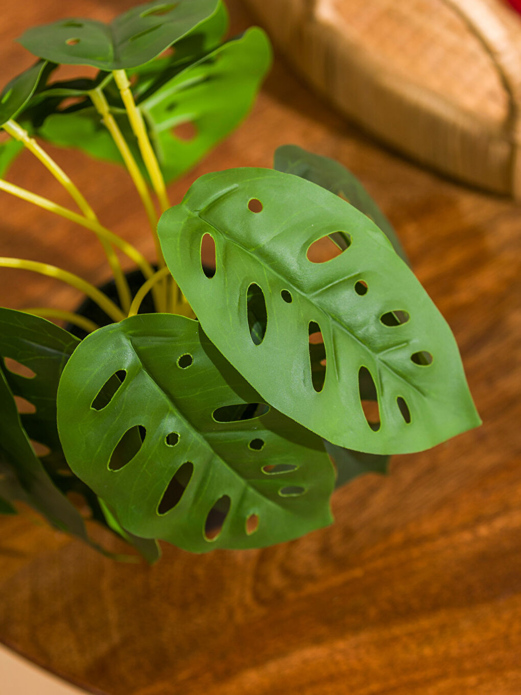 گوڵی دەستکردی پۆتکراو 22 cm-1