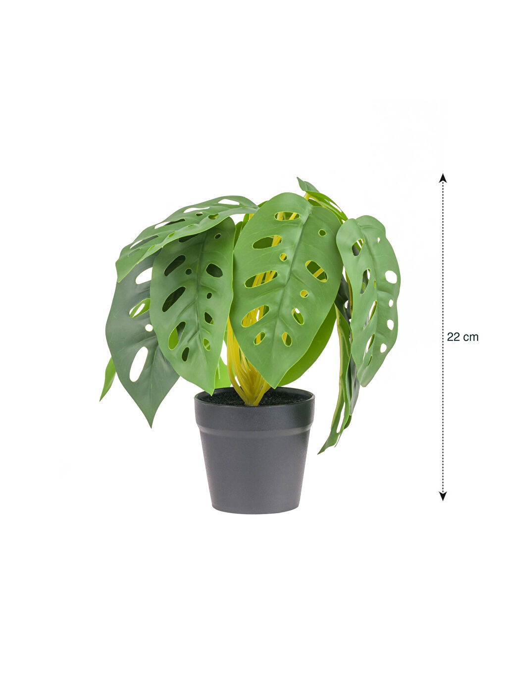 گوڵی دەستکردی پۆتکراو 22 cm-3