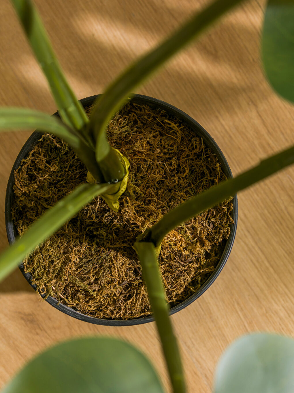 Karışık Saksılı Dekoratif Yapay Çiçek 60 cm-3