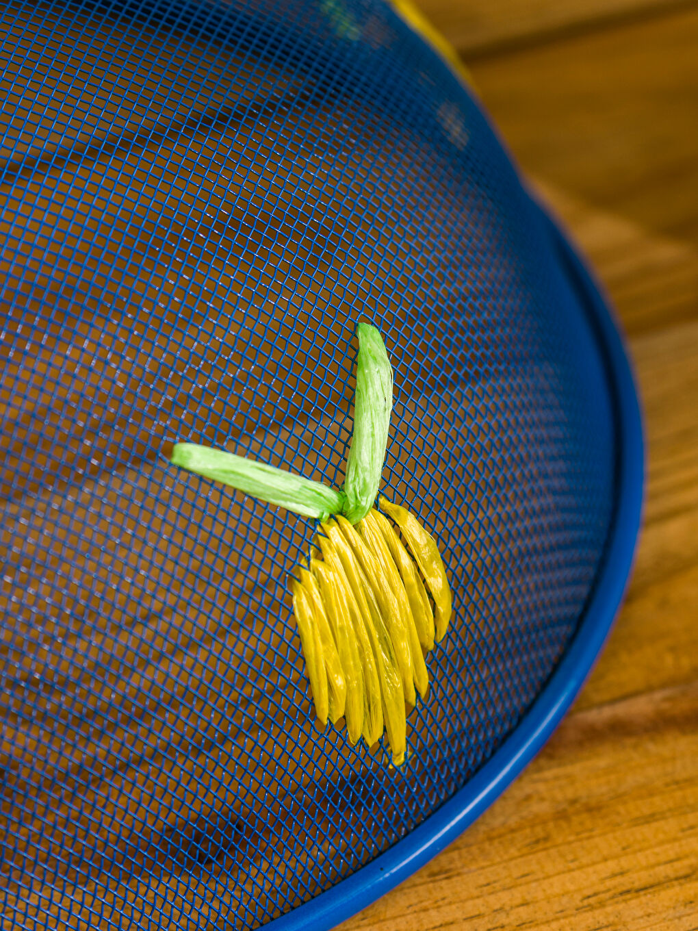 Outdoor Serving Mesh Dome Cover 30 cm-2