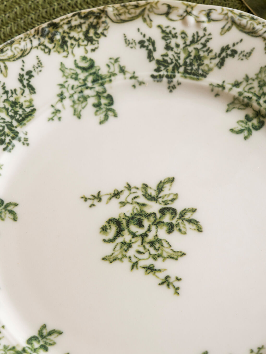 Yeşil Baskılı Porselen Tabak 25 cm-2