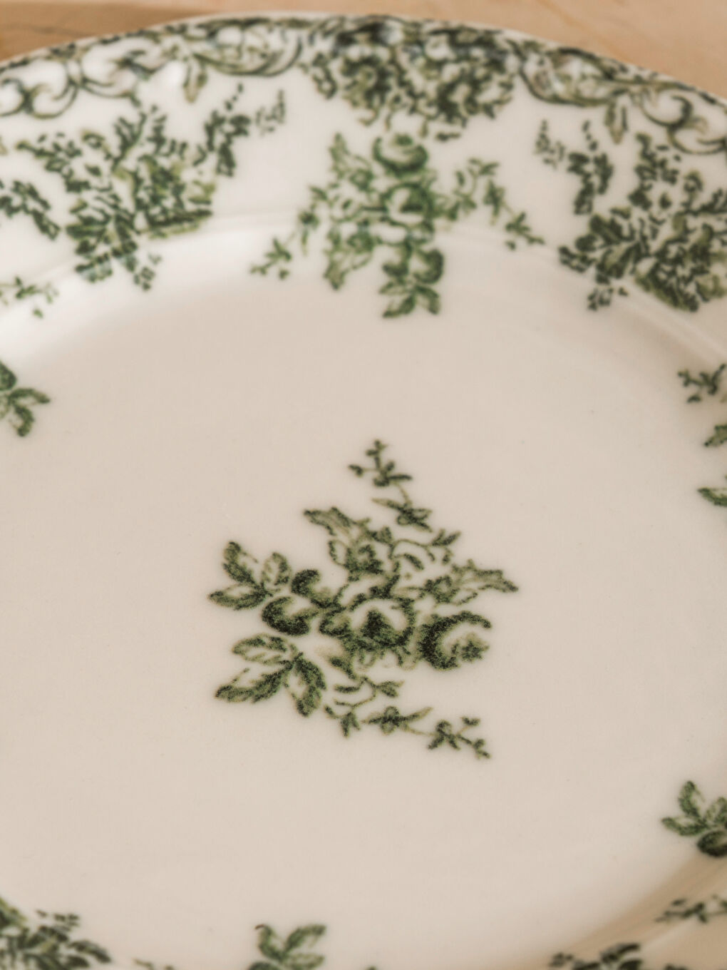 Yeşil Baskılı Porselen Tabak 19 cm-2