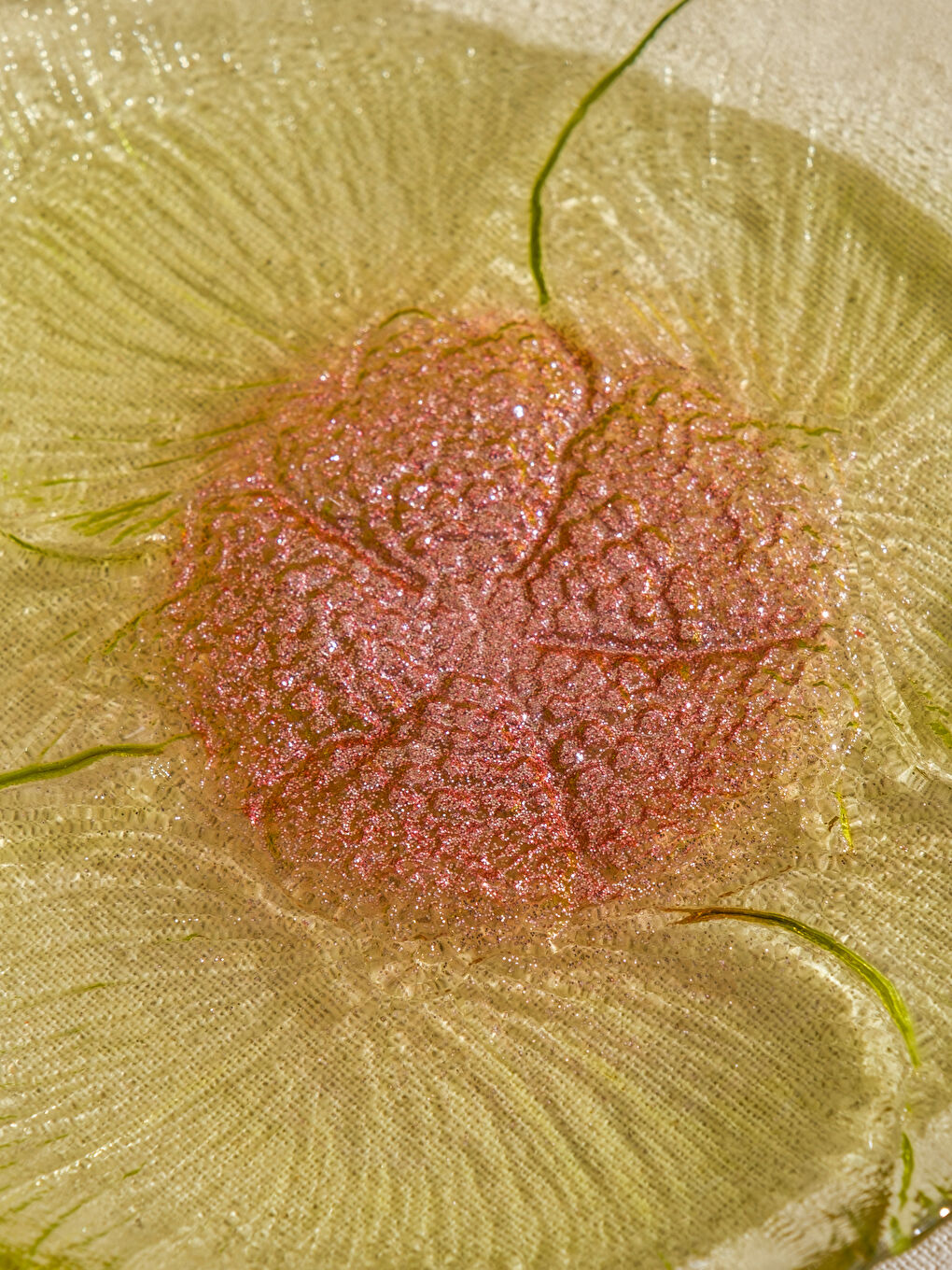 Karışık Çiçek Figürlü Cam Pasta Tabağı Seti 4'lü 19 cm-2