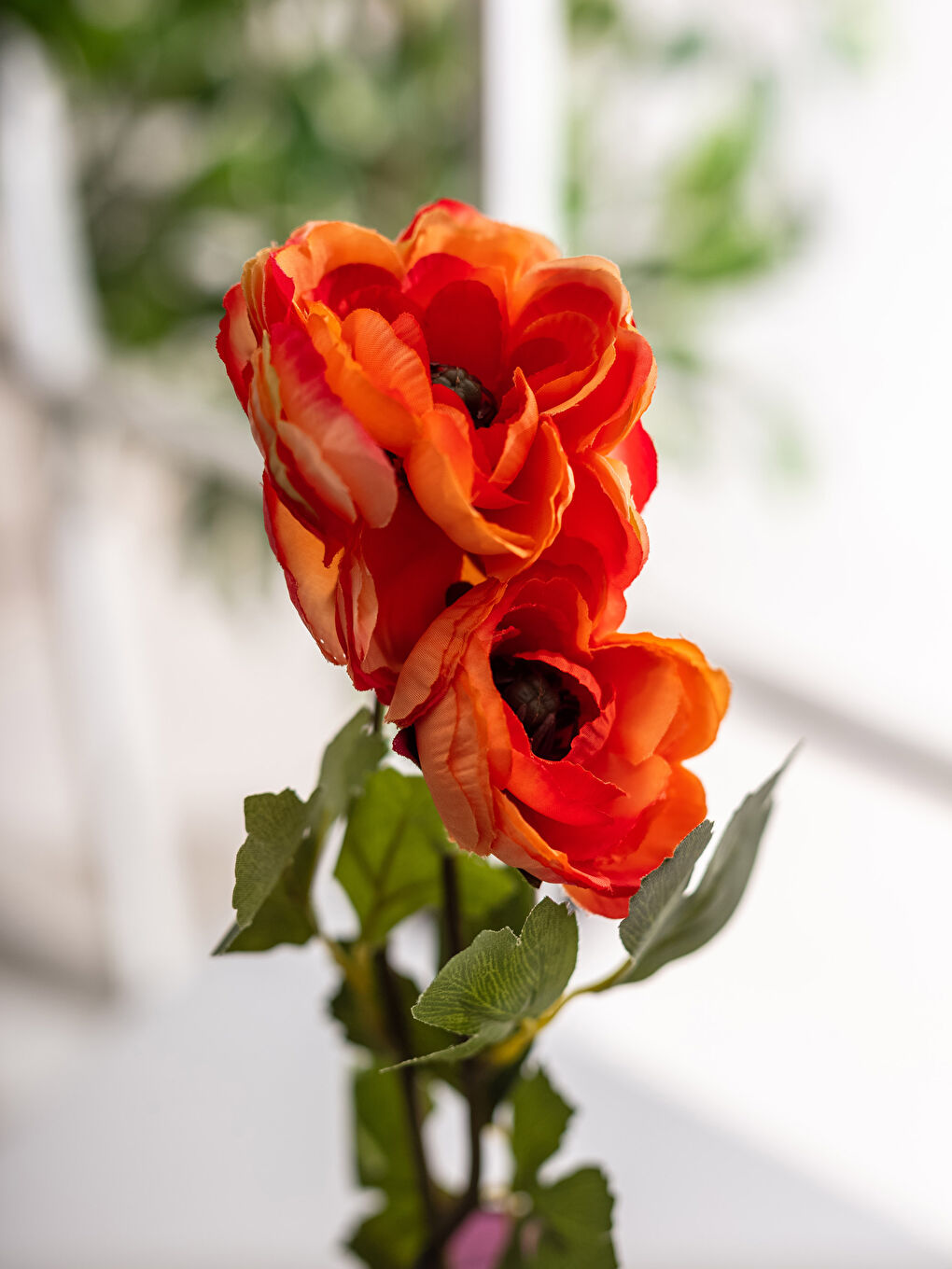 گوڵی دەستکرد-1