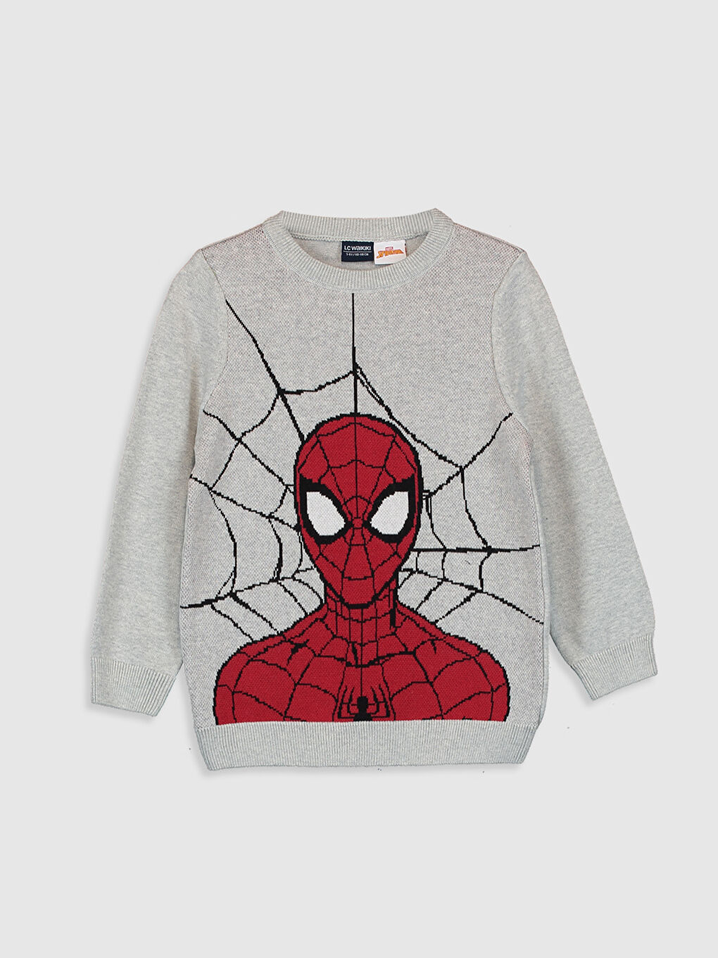 Crew Neck Long Sleeve Boys' Sweater