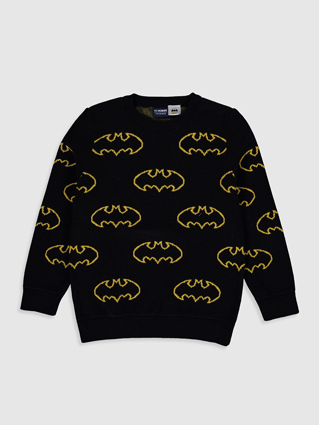 Crew Neck Long Sleeve Boys' Sweater