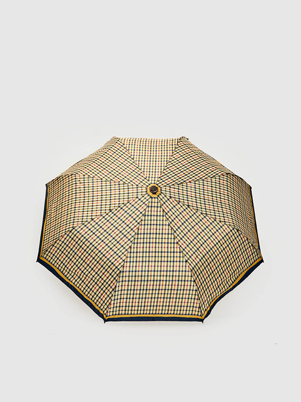 Striped Umbrella-1