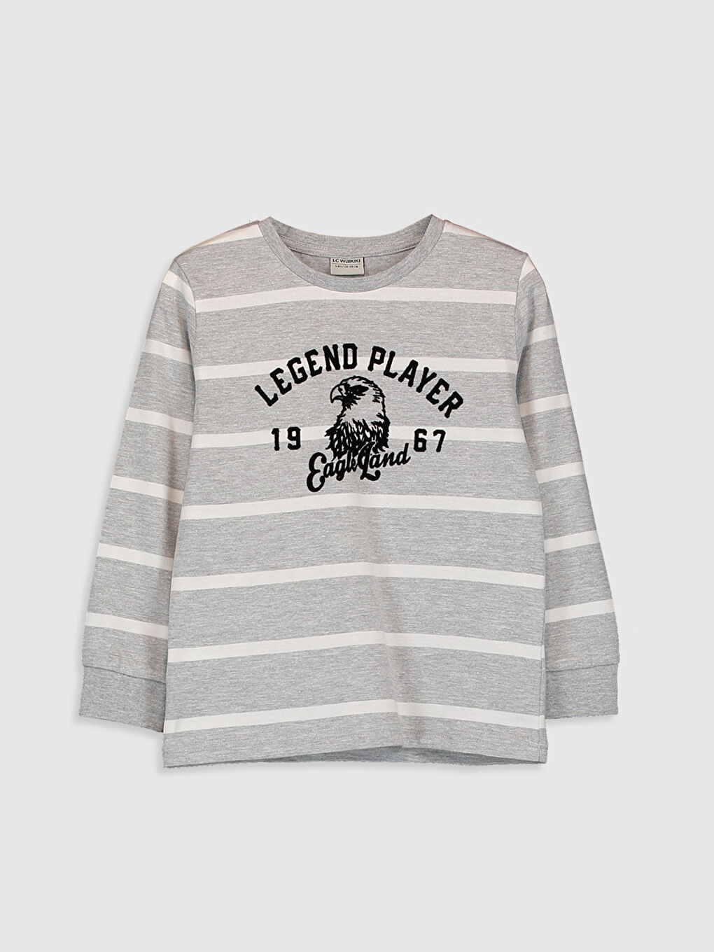 Boy's Striped Cotton T-Shirt