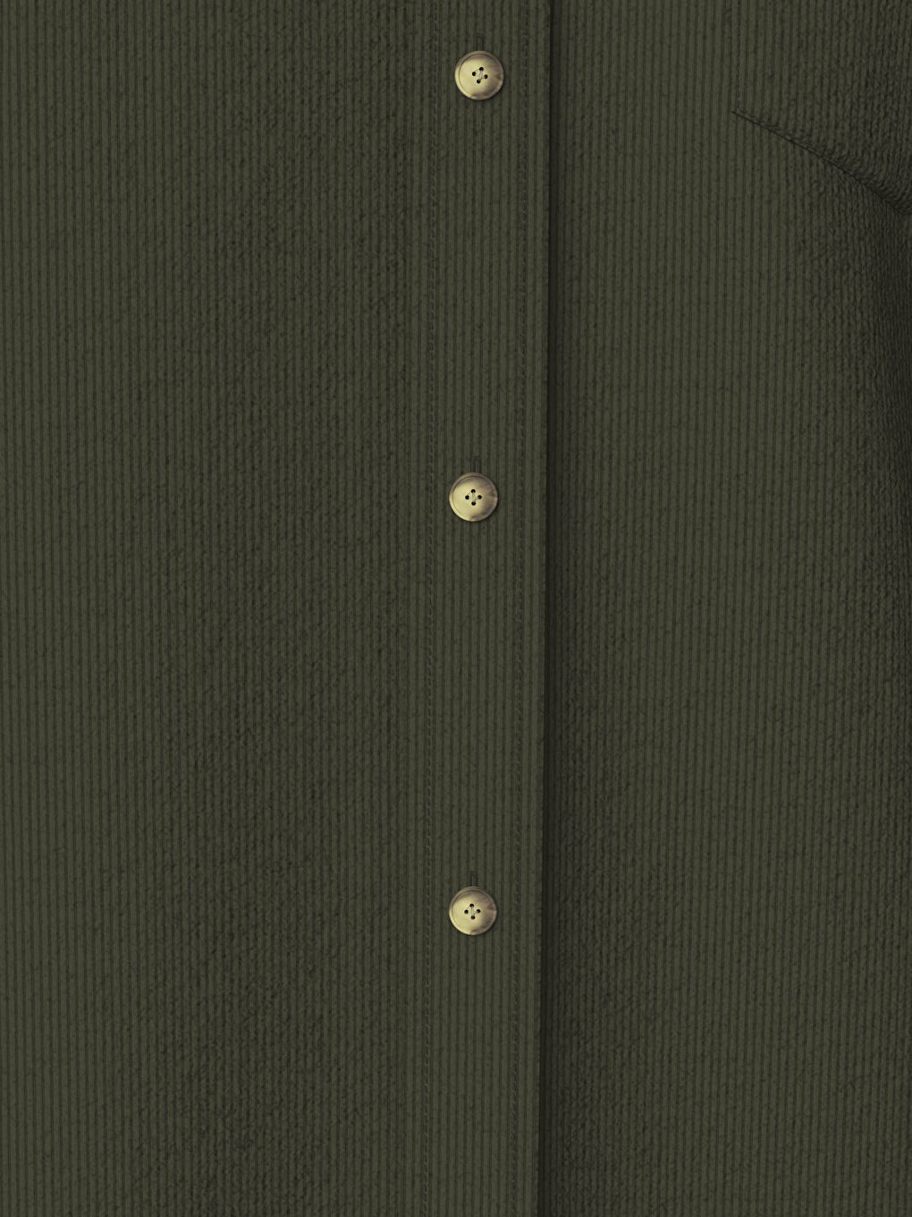 Regular Fit Long Sleeve Velvet Shirt-3