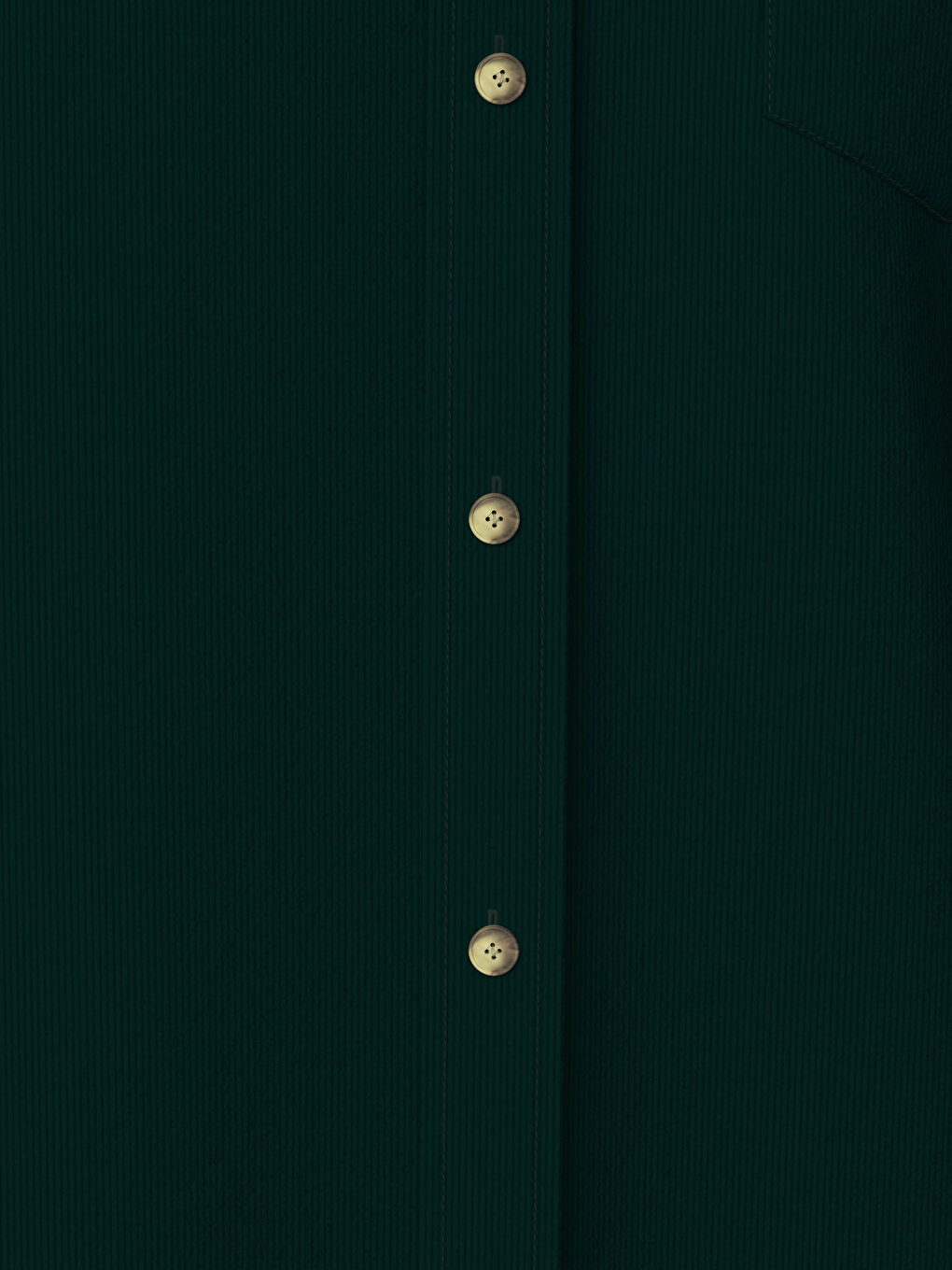 Regular Fit Long Sleeve Velvet Shirt-3