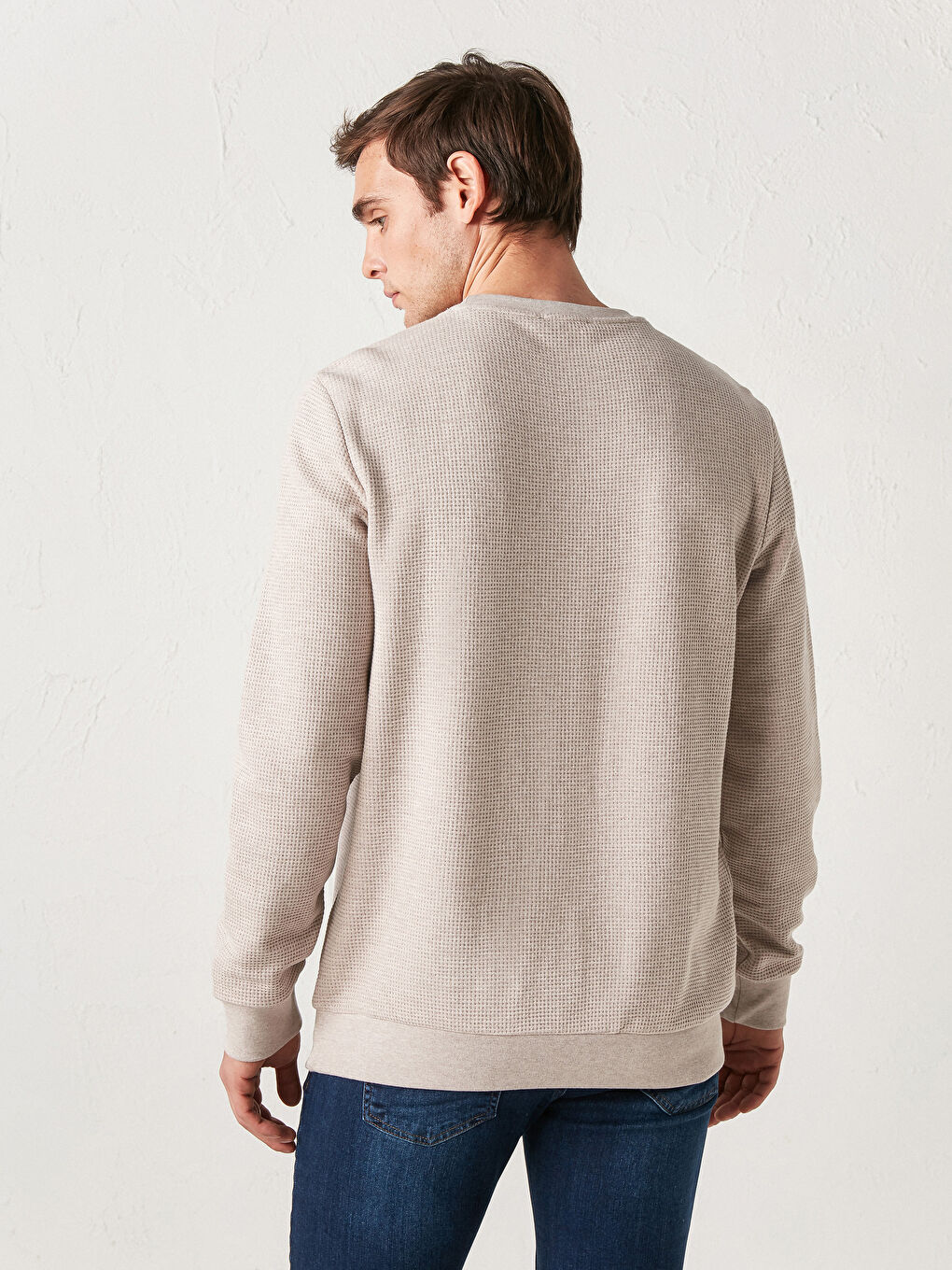 Crew Neck Basic Sweatshirt-3