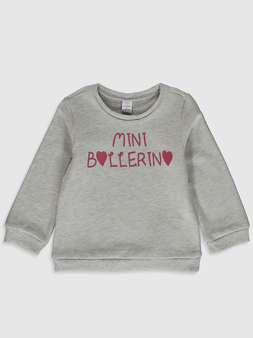 Gri Kız Bebek Takım 2'li-2