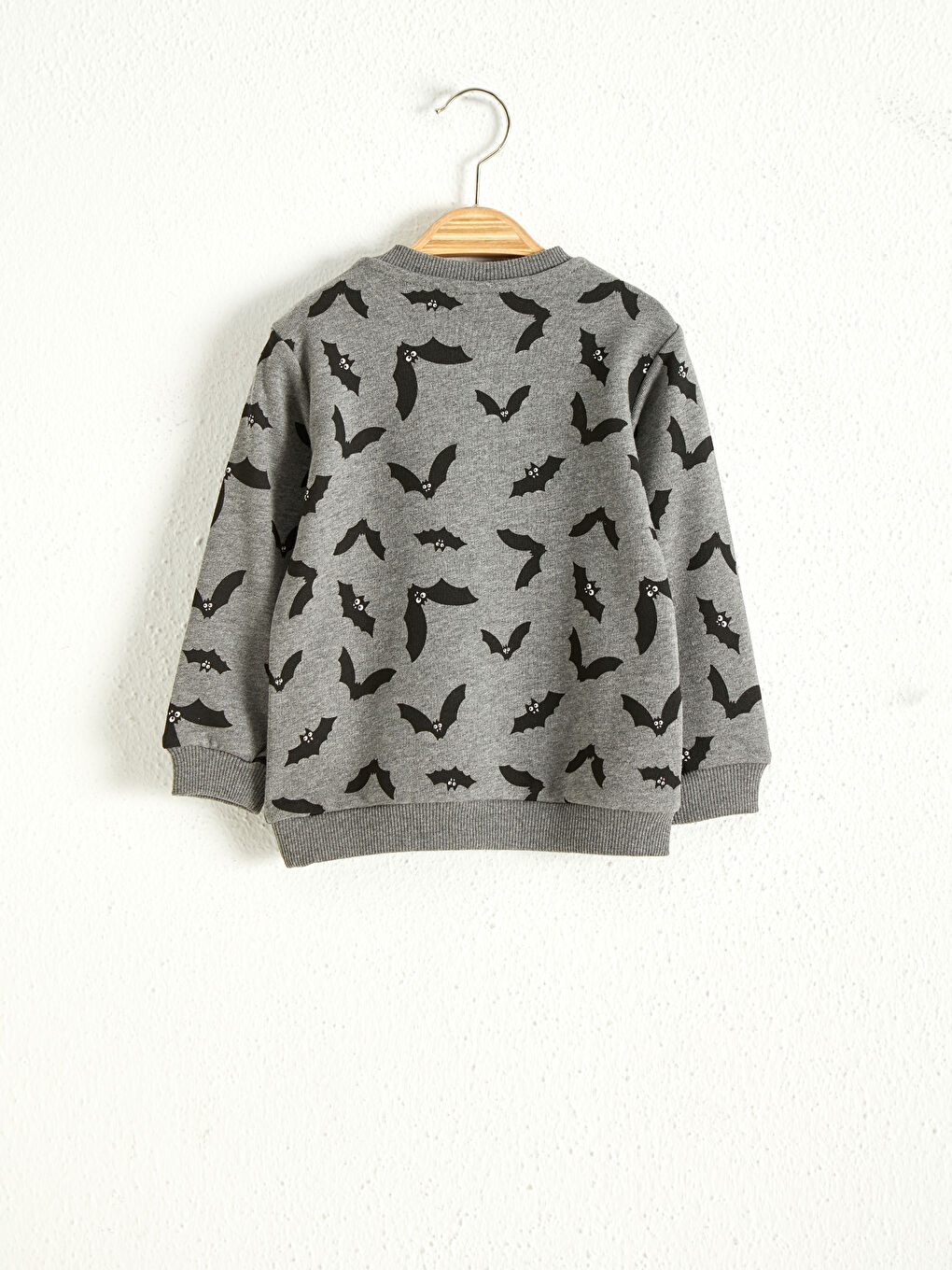 Baby Boys' Printed Sweatshirt-2