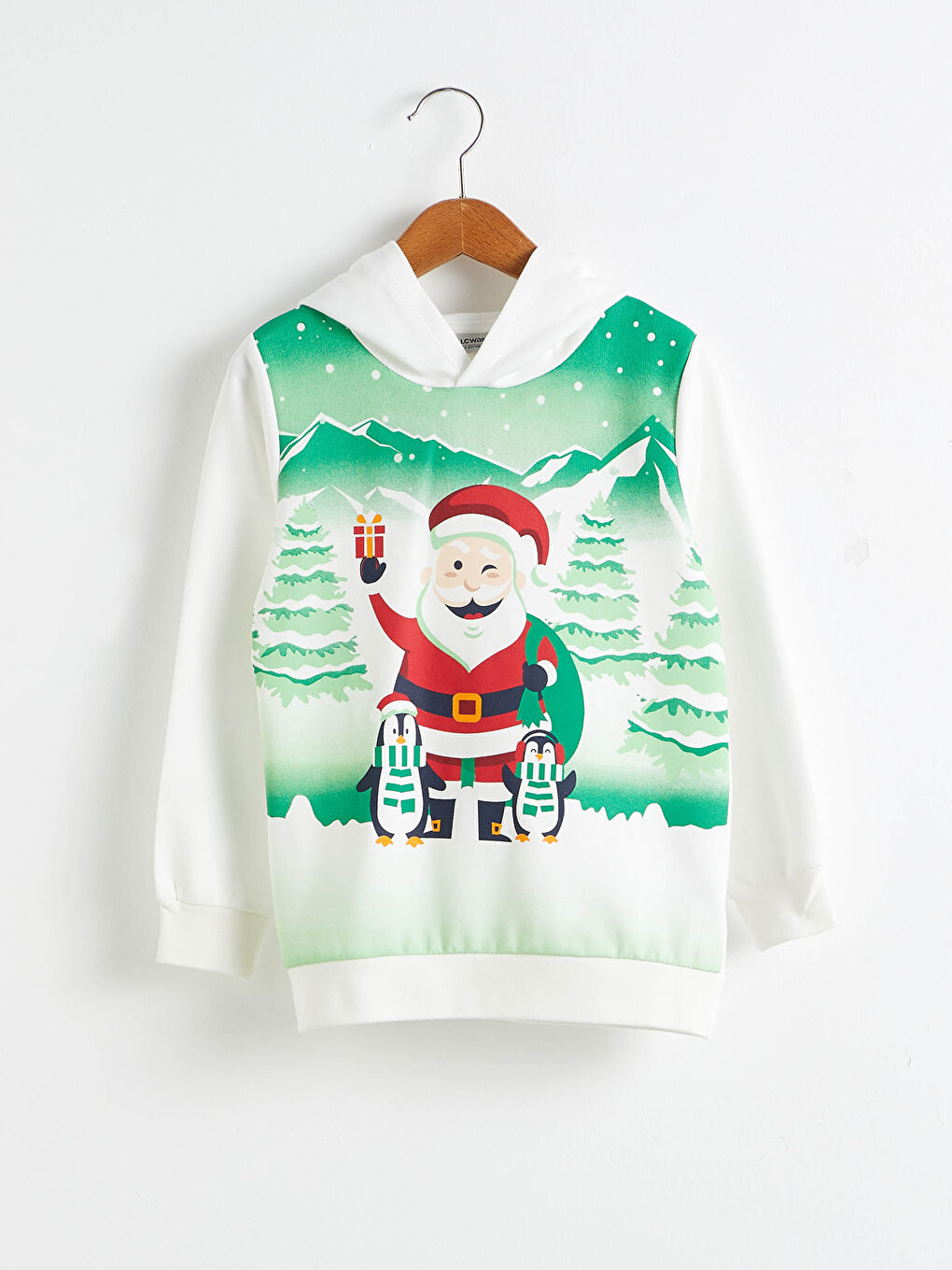 Boys' Printed Hooded Sweatshirt