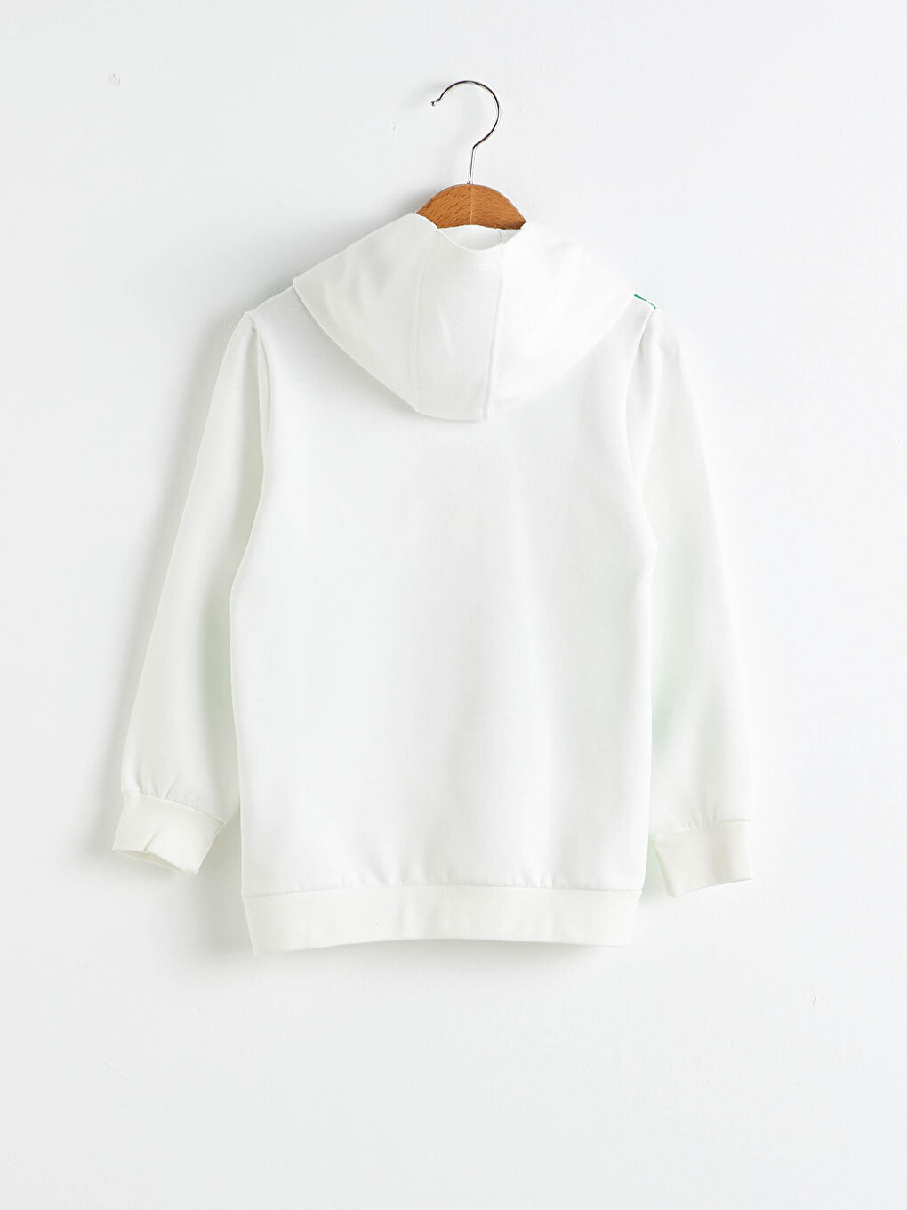 Boys' Printed Hooded Sweatshirt-1