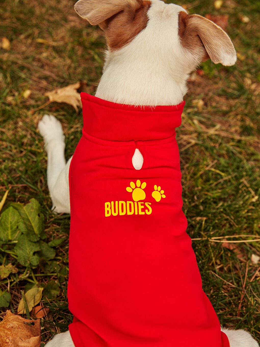 ملابس الحيوانات الأليفة