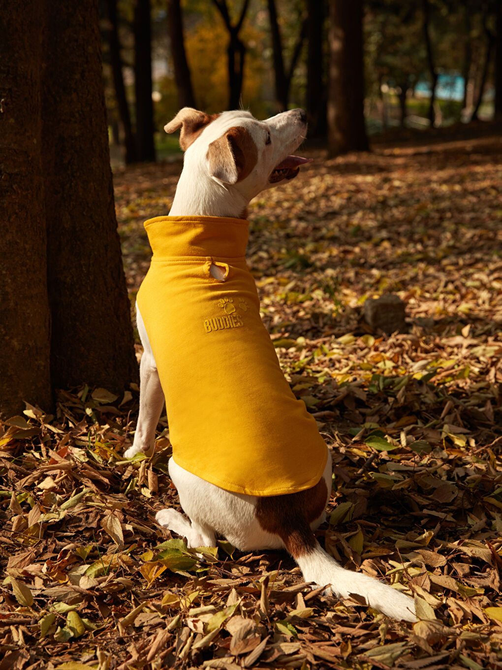 Haine pentru animale de companie-7