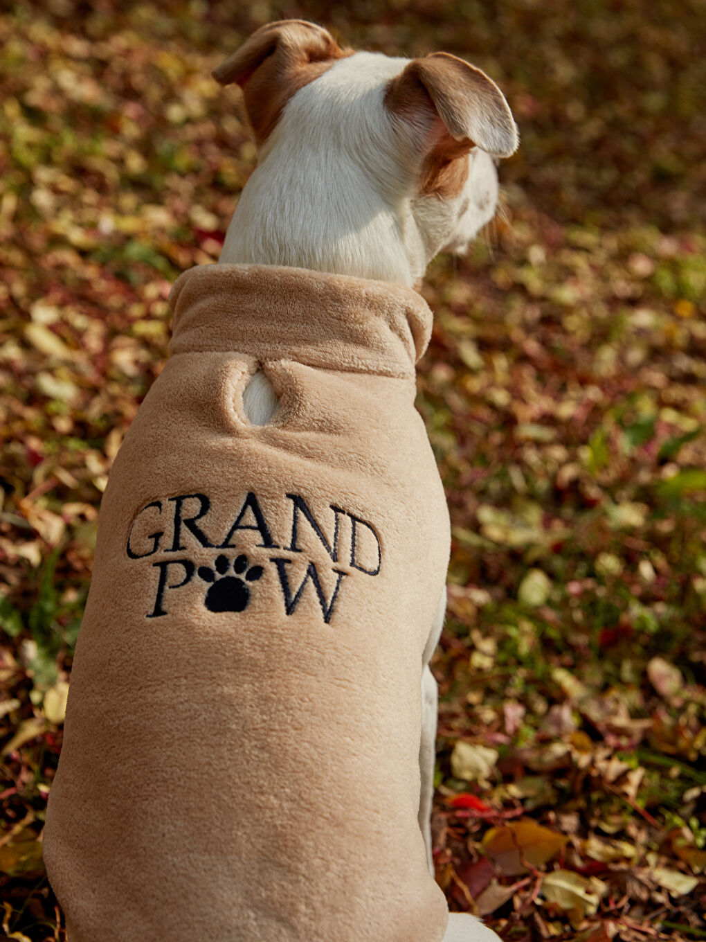 ملابس الحيوانات الأليفة-6