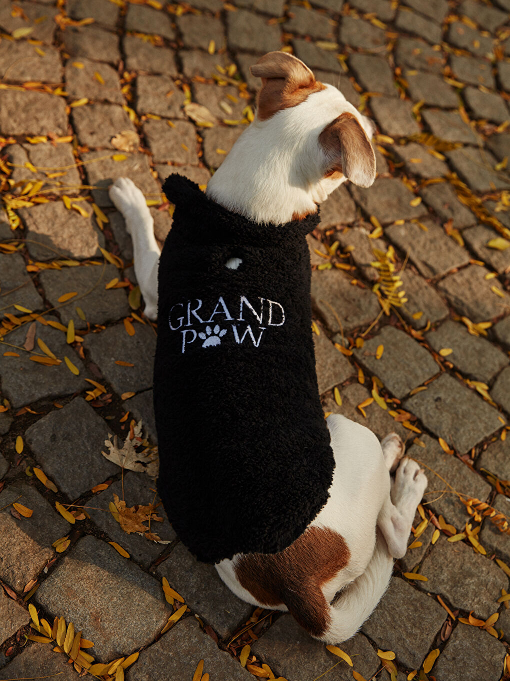 ملابس الحيوانات الأليفة-3