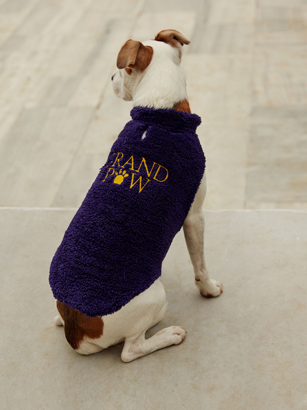 ملابس الحيوانات الأليفة