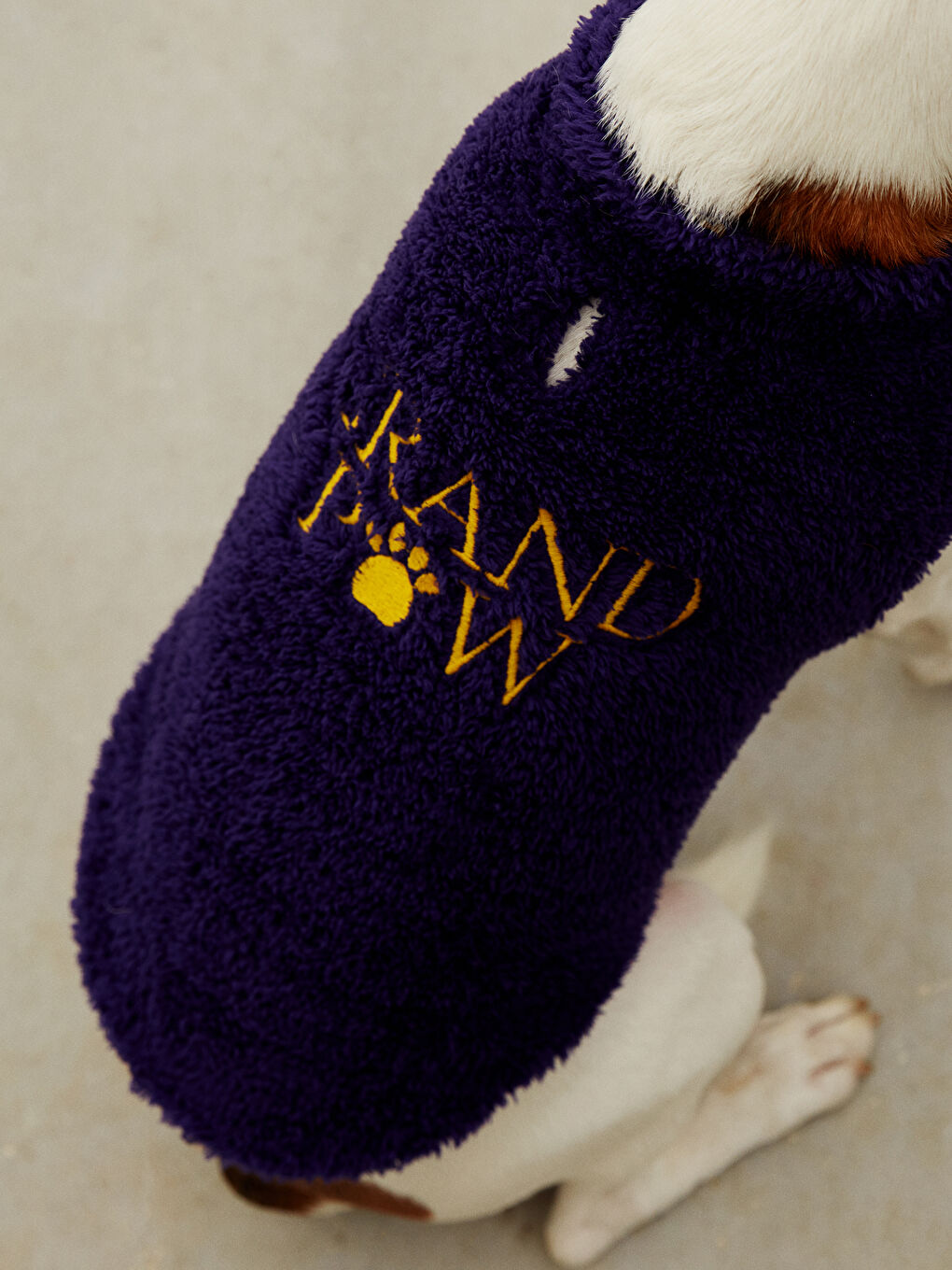 ملابس الحيوانات الأليفة-5